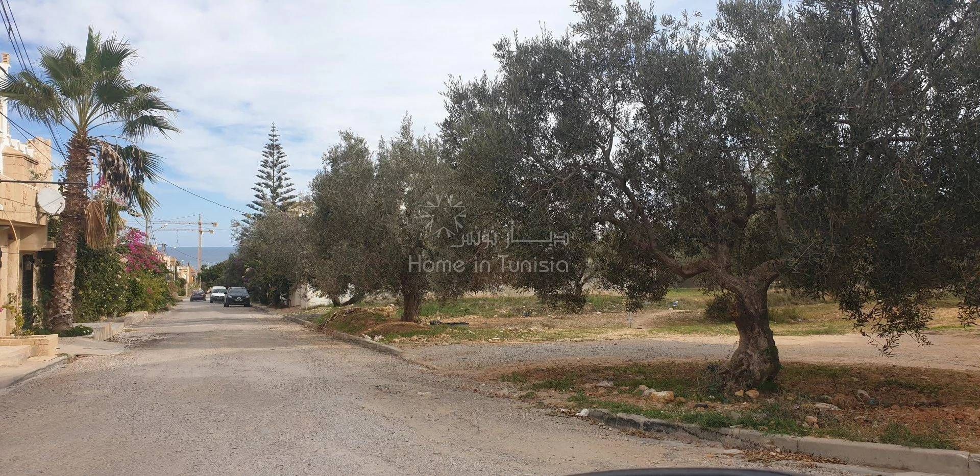 Land in El Haj Mohammed Zarrouch, Sousse 11286526