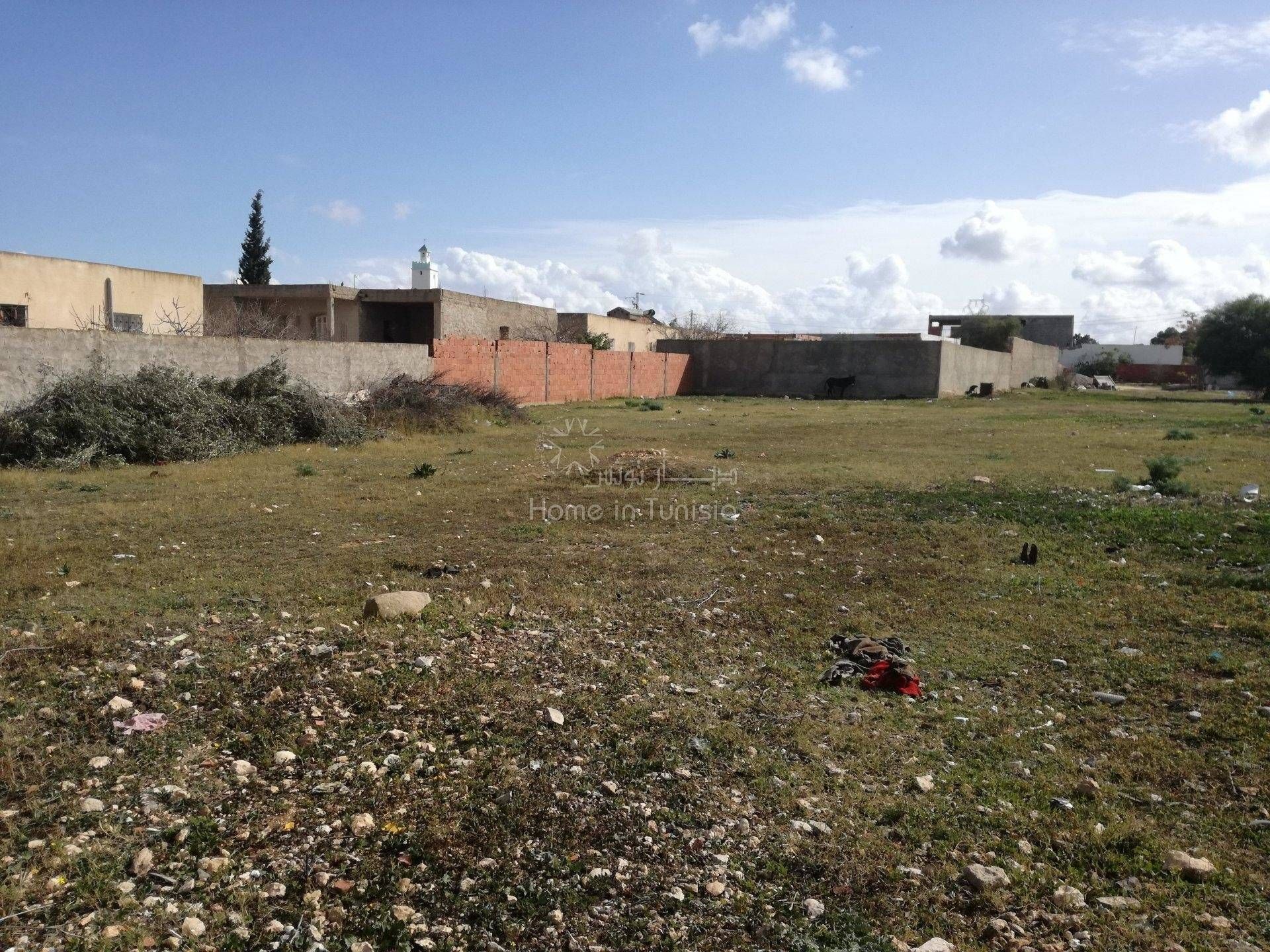 Casa nel Sidi Bou Ali, Susa 11286564