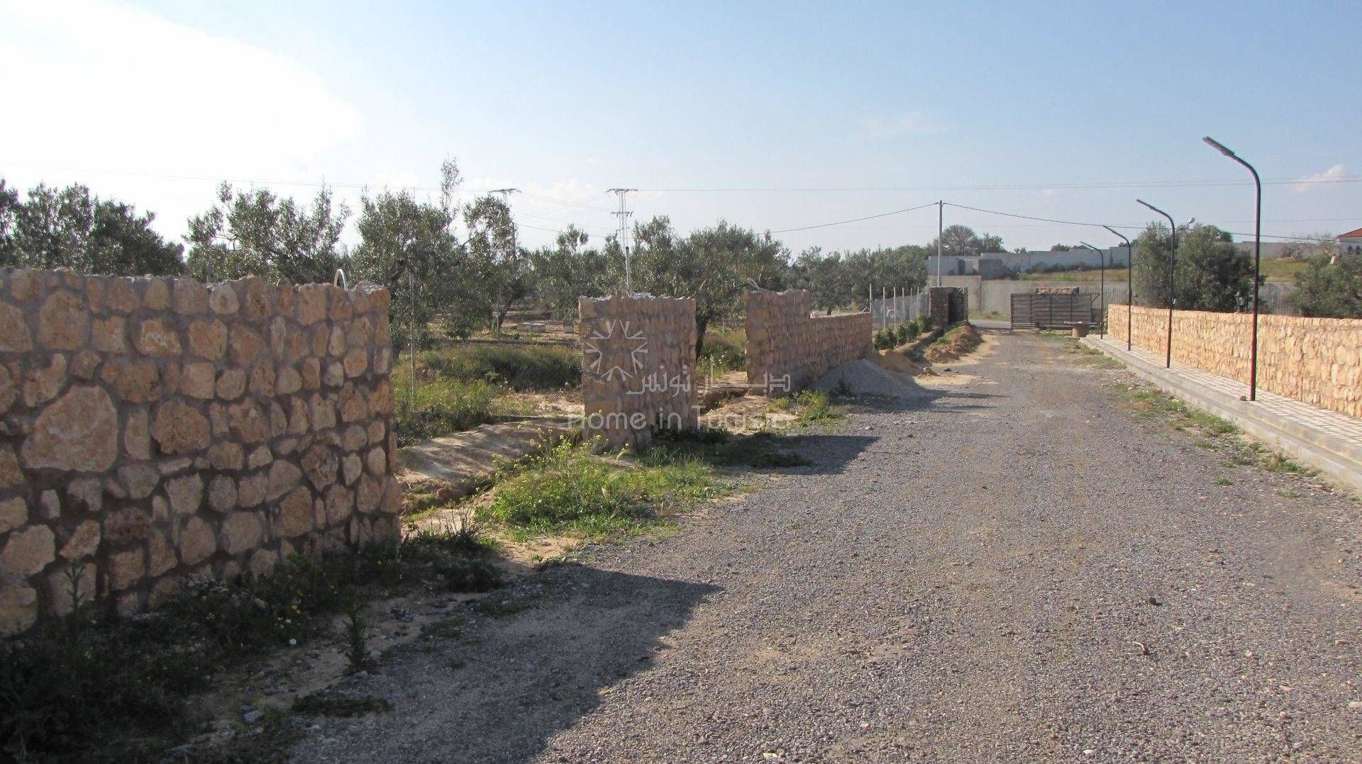 Terre dans El Haj Mohammed Zarrouch, Sousse 11286662