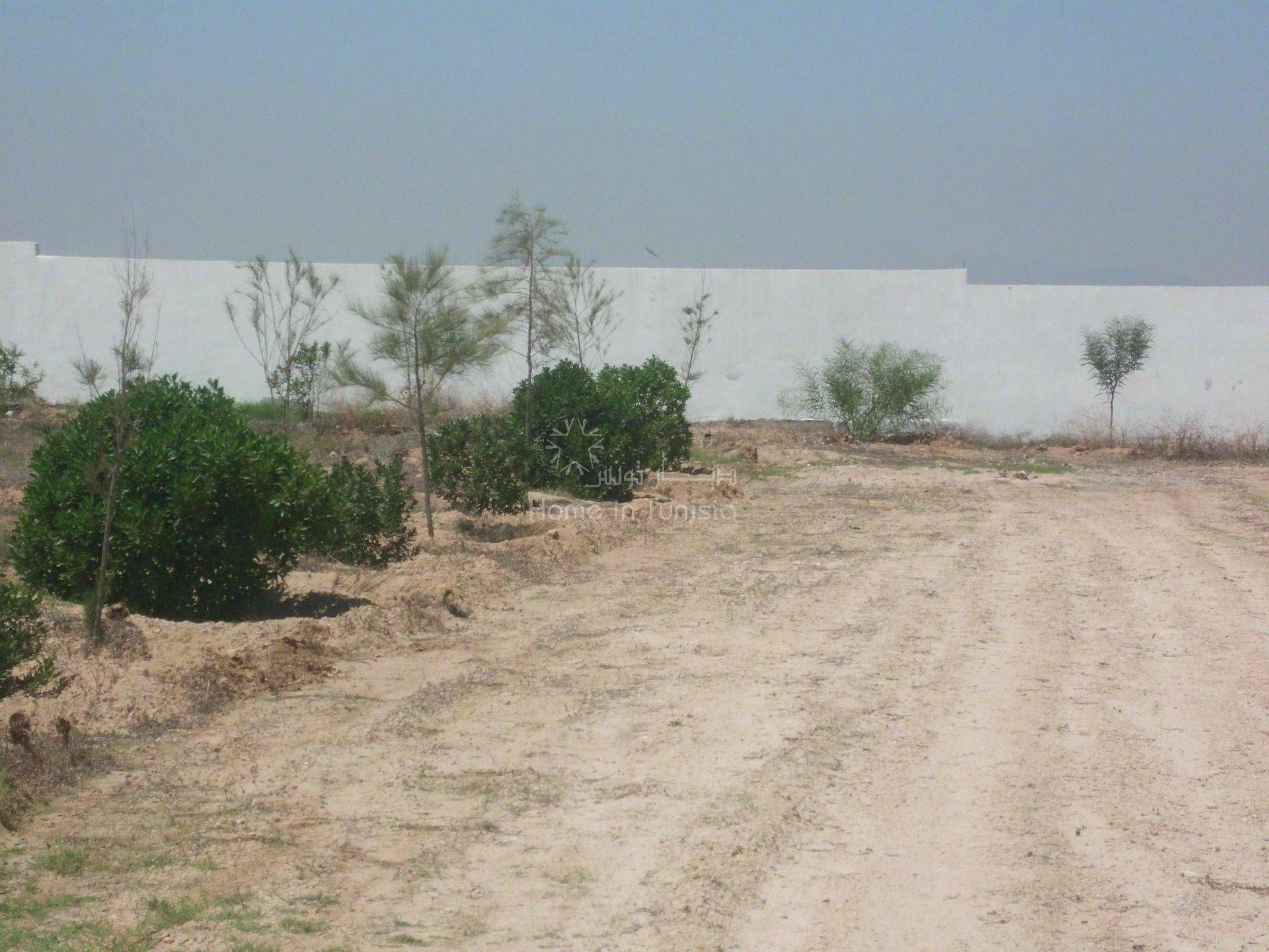 Land in Harqalah, Sousse 11286687