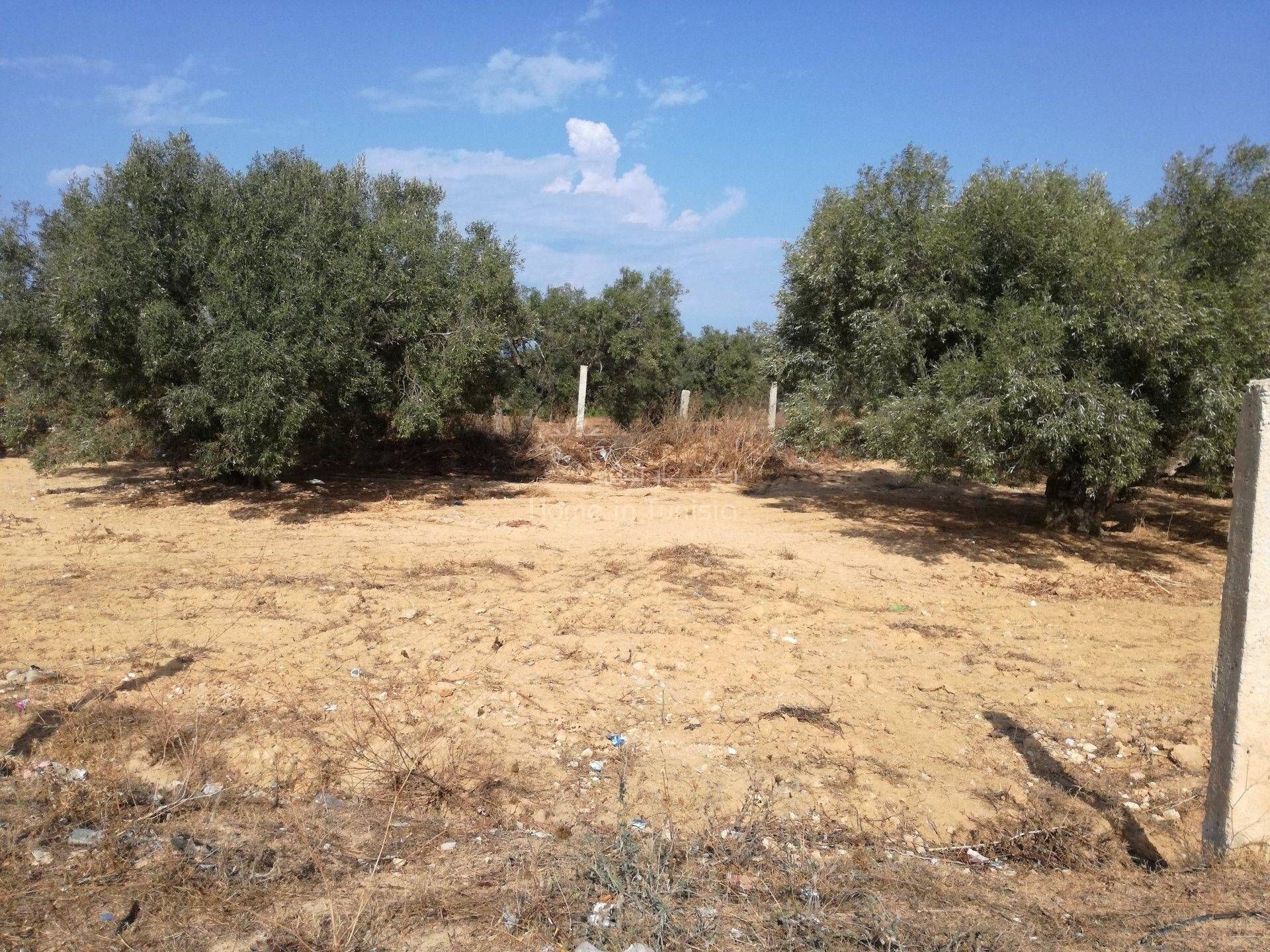 Land in Akouda, Sousse 11286753