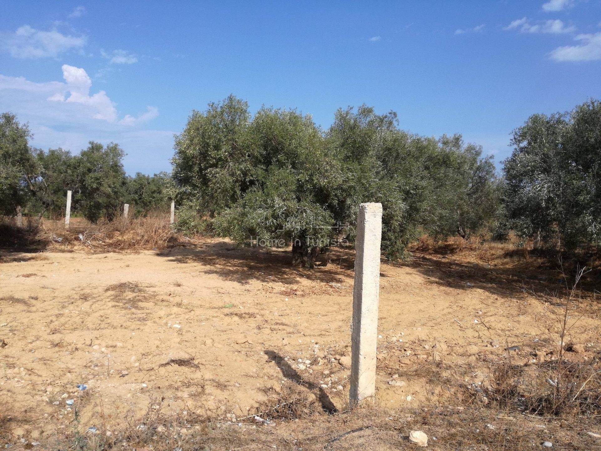 Land in Akouda, Sousse 11286753