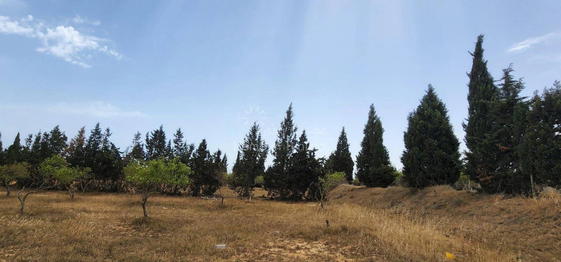 Land in Akouda, Sousse 11286969