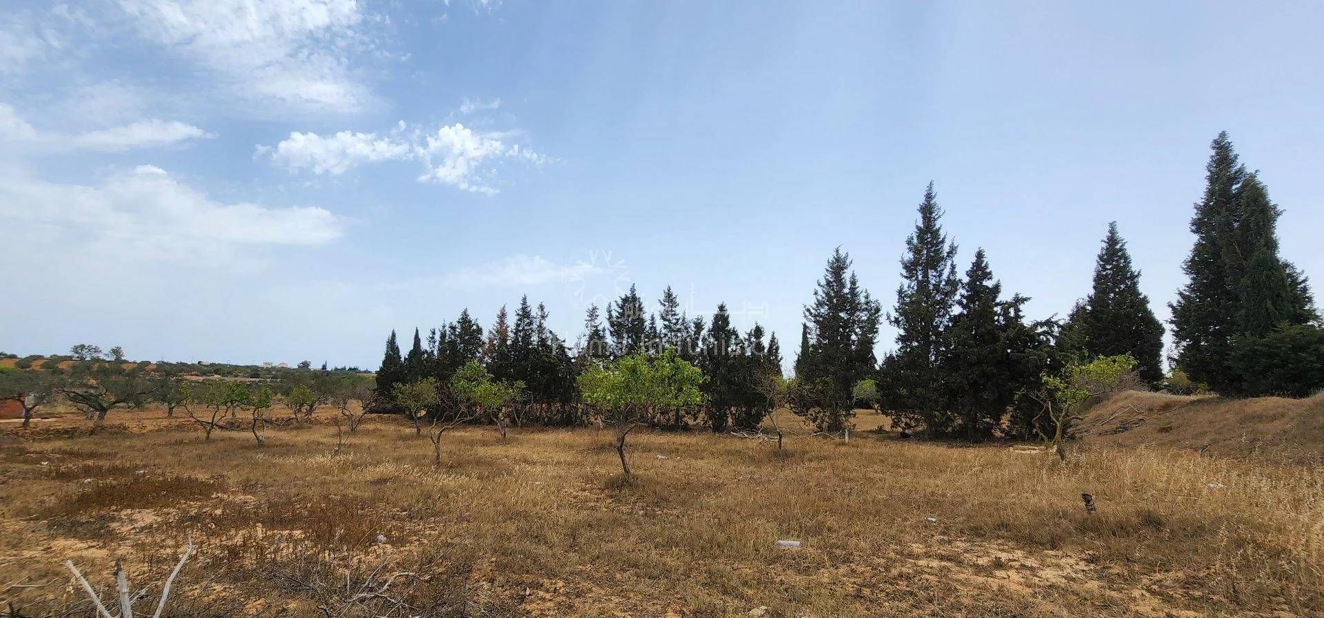 Land in Akouda, Sousse 11286969