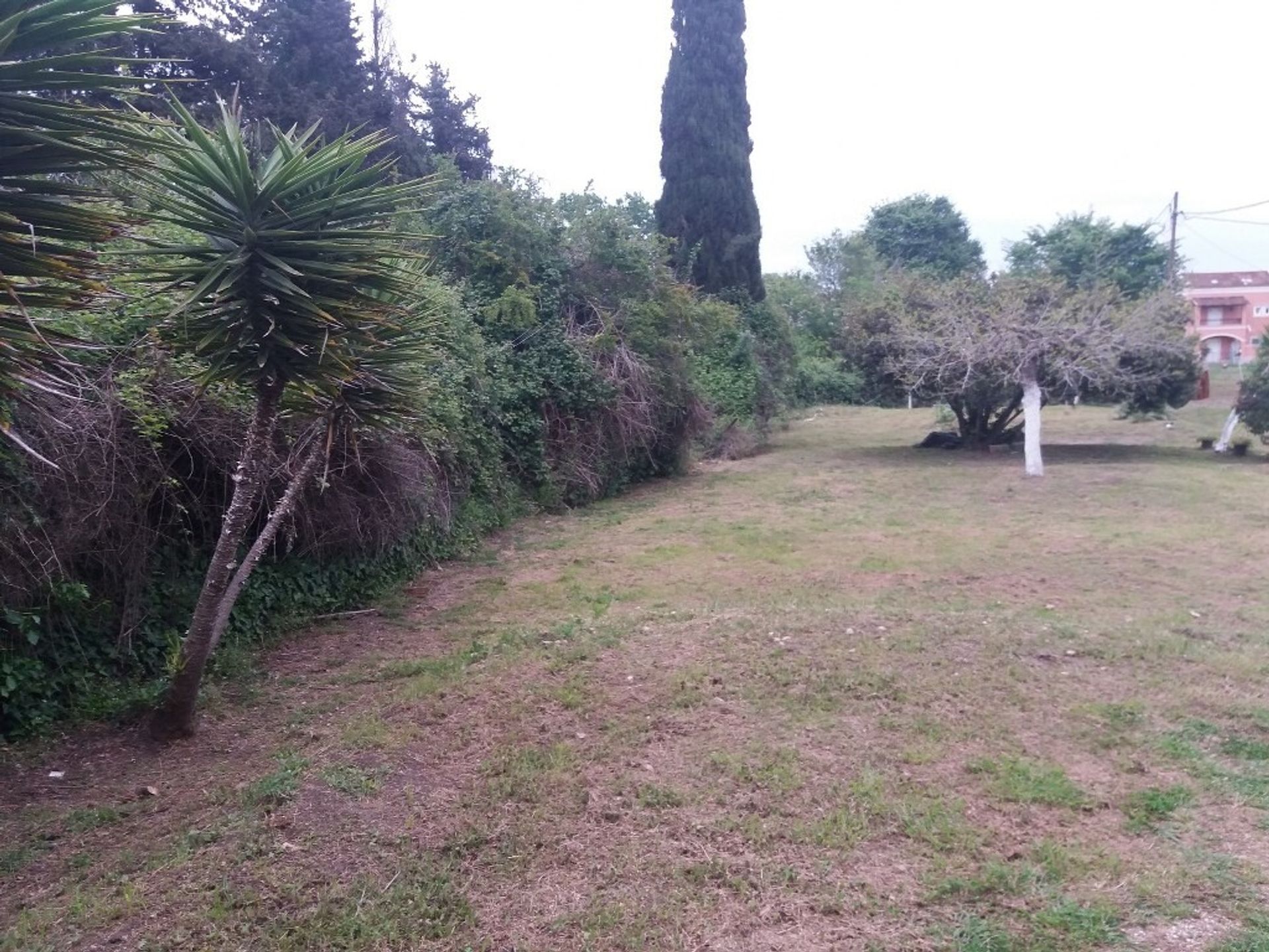 Land in Potamos, Ionia Nisia 11287283