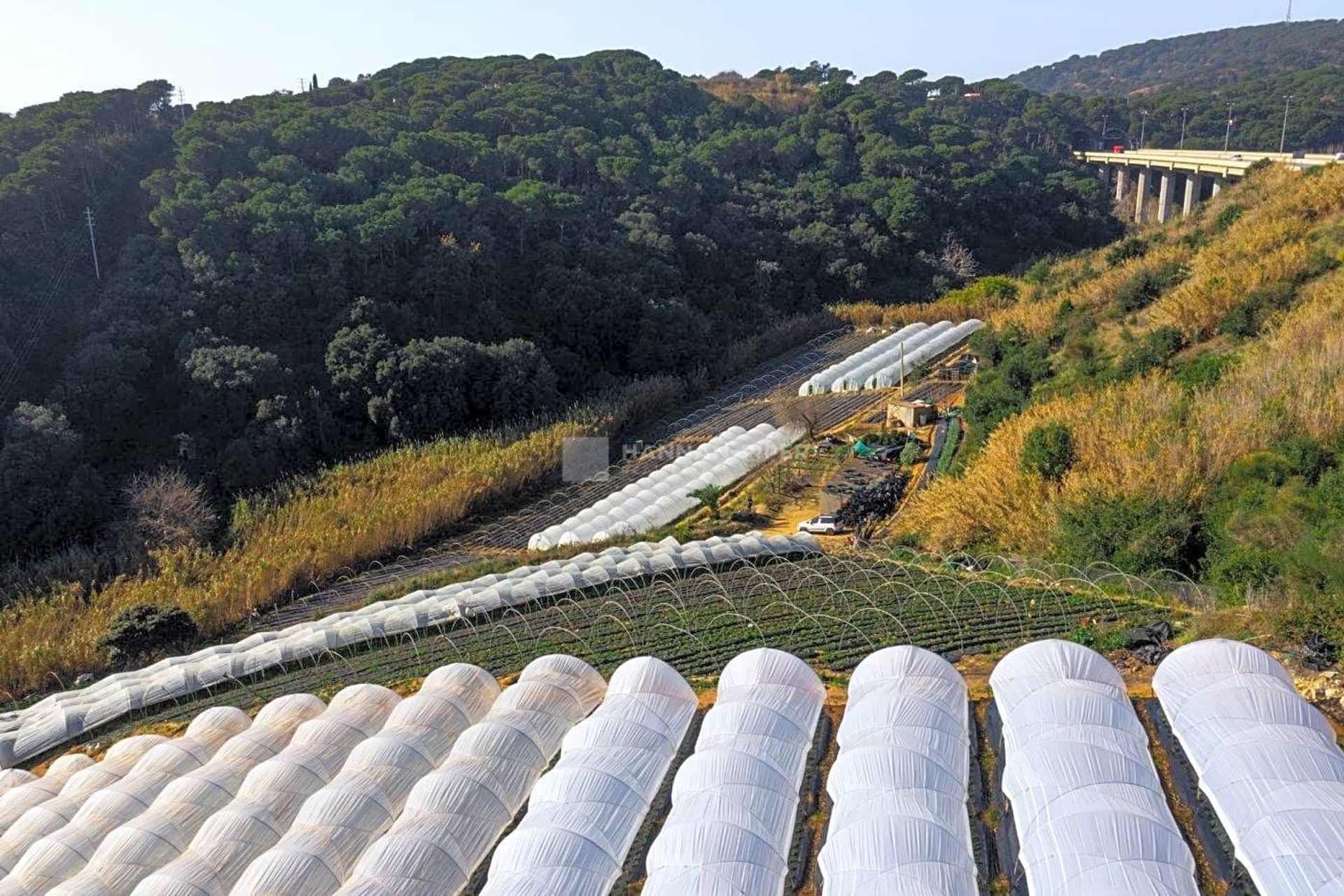 Land in Sant Pol de Mar, Cataluña 11287702