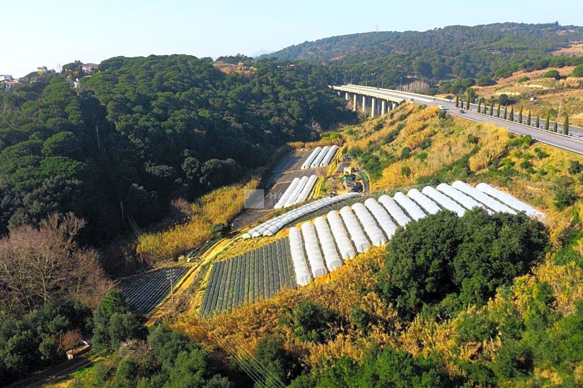 Land in Sant Pol de Mar, Cataluña 11287702