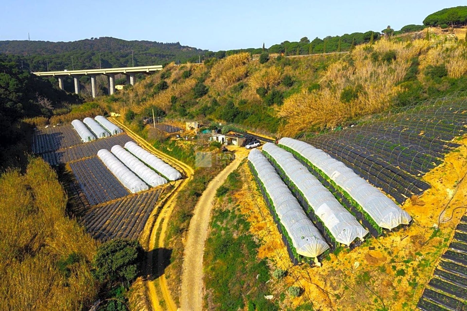 Land in Sant Pol de Mar, Cataluña 11287702