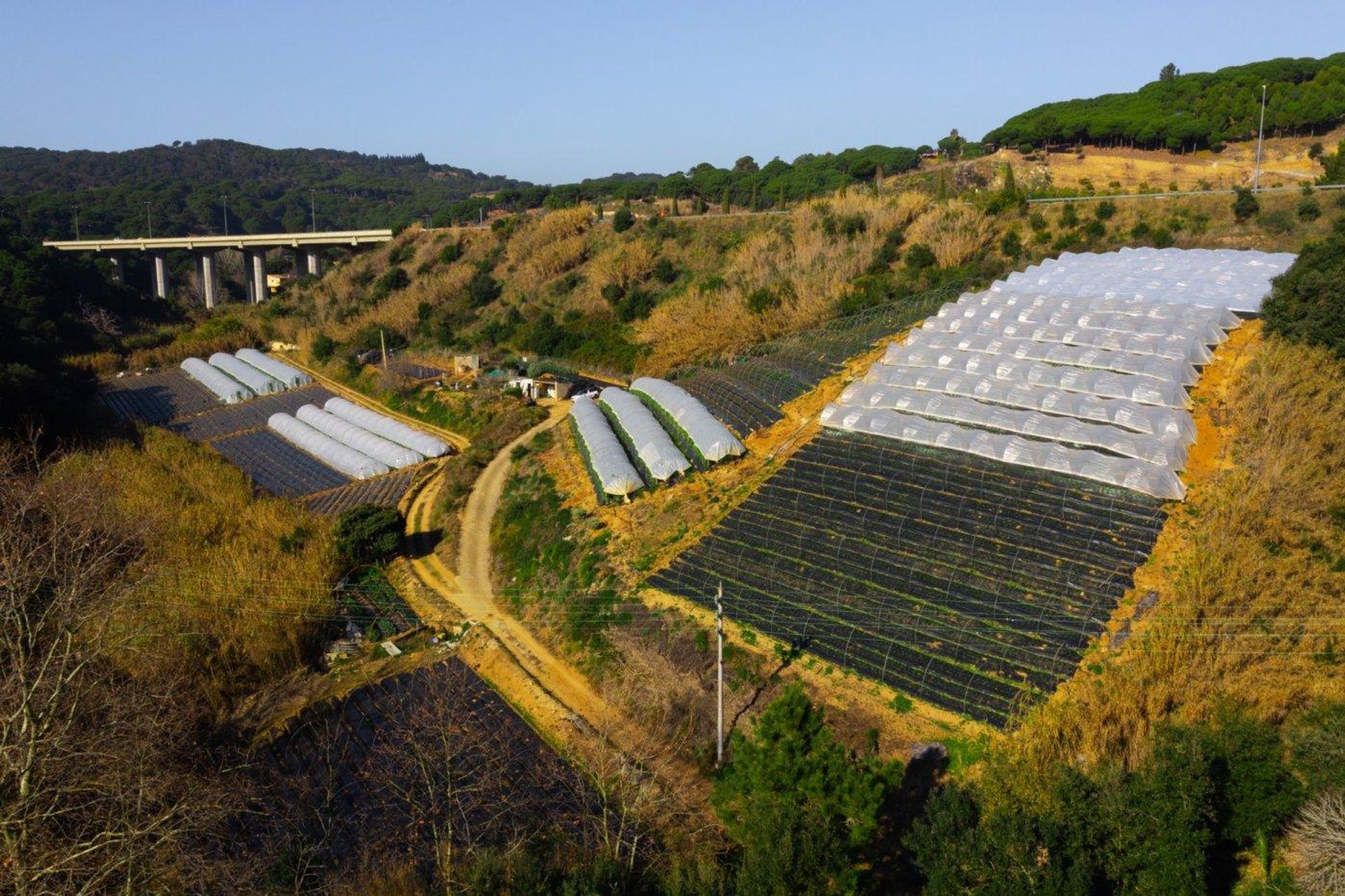 Sbarcare nel Sant Pol de Mar, Cataluña 11287702