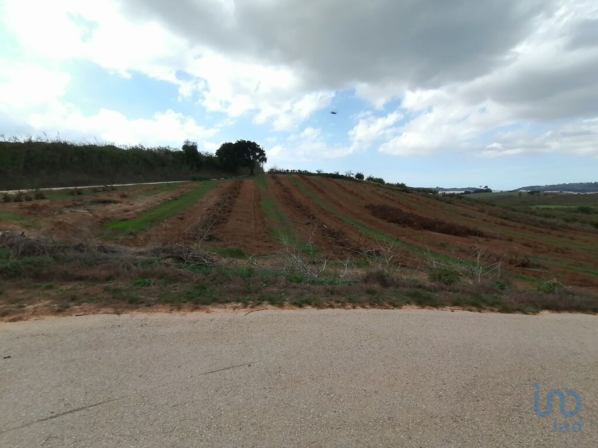 Tierra en Bombarral, Leiría 11287708