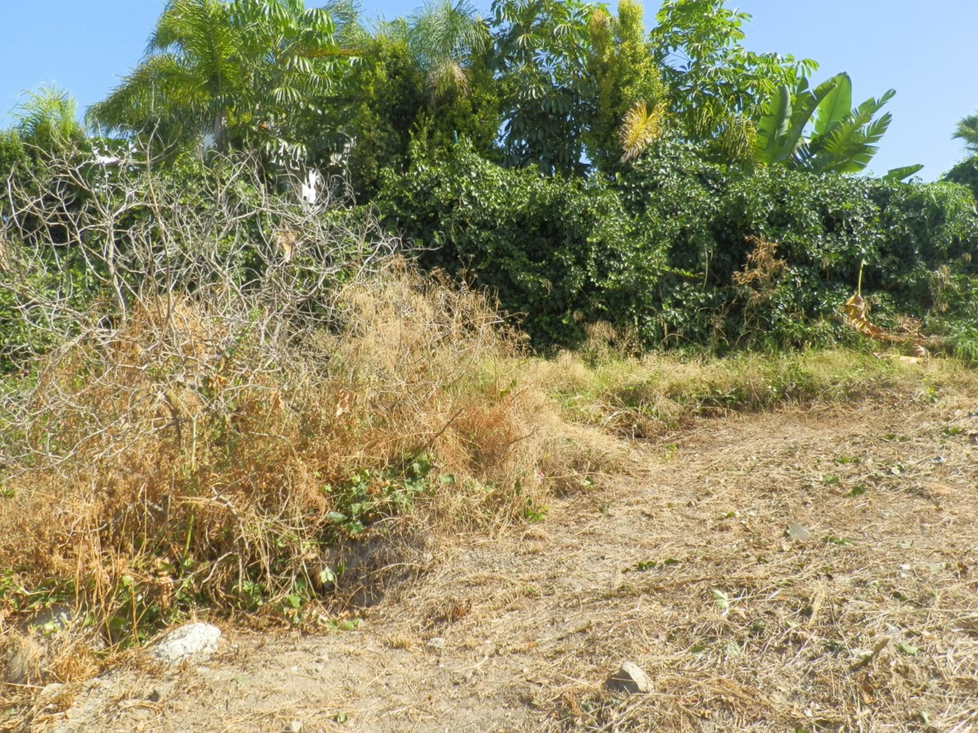 Land in Benahavis, Andalusië 11290155