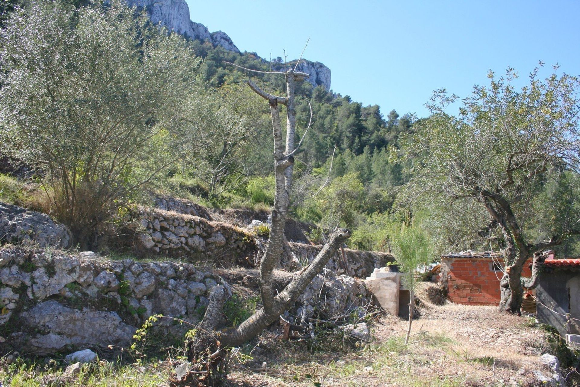 loger dans Benirrama, Comunidad Valenciana 11290695