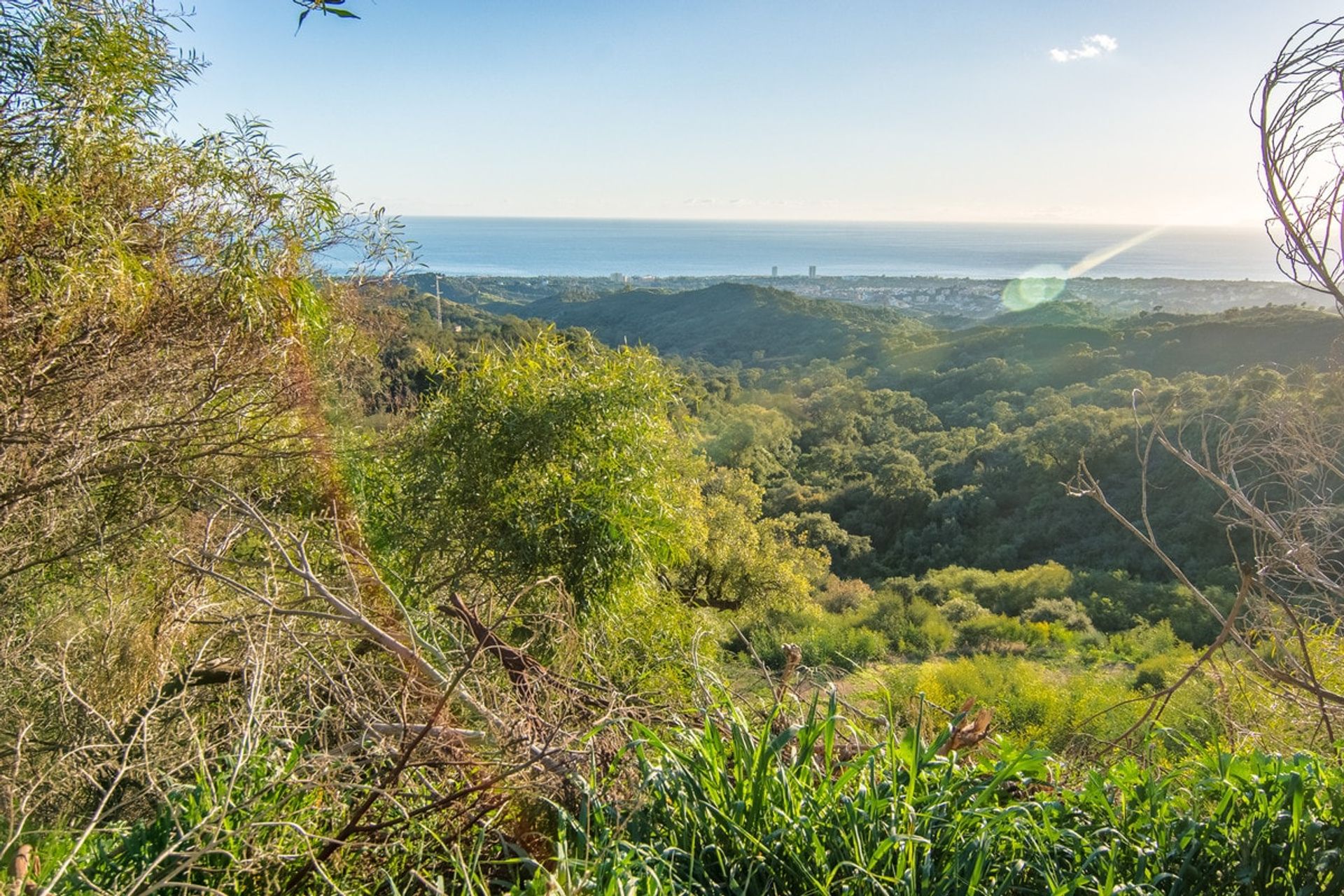 Terre dans Ojén, Andalousie 11291337