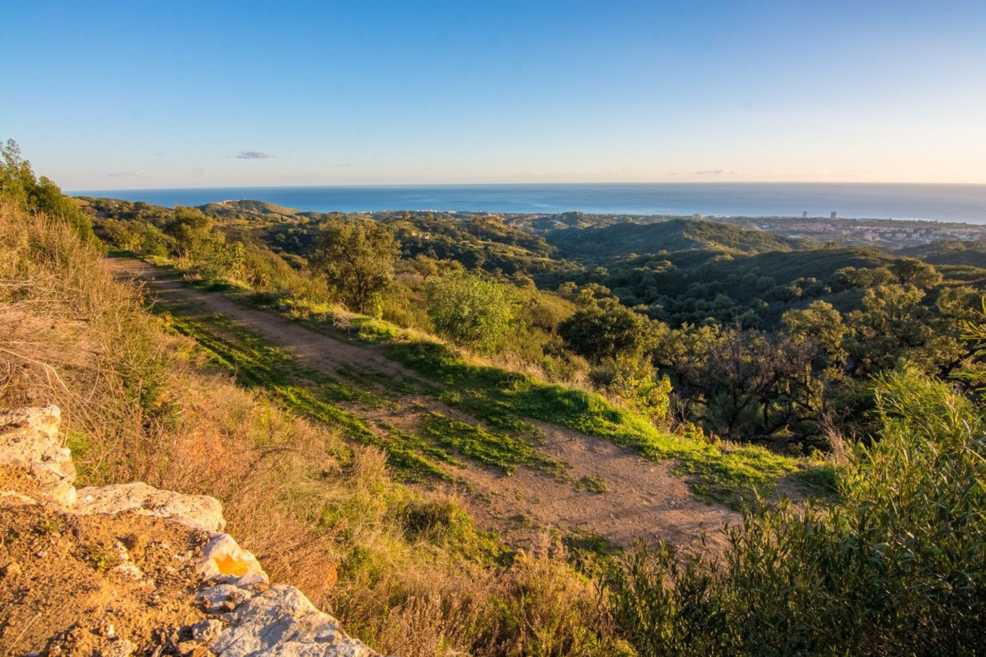 Terre dans Ojén, Andalousie 11291337