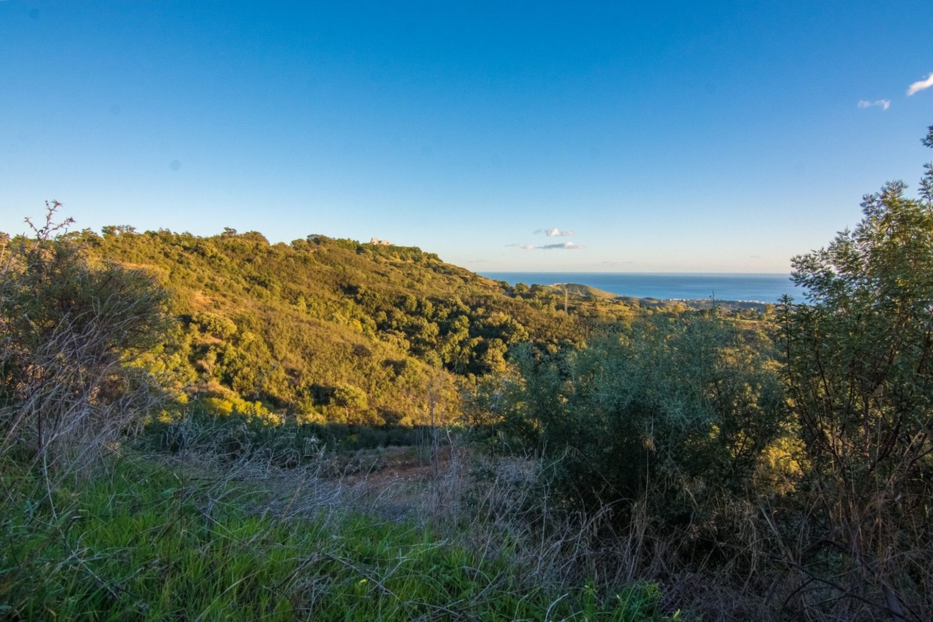 Terre dans Ojén, Andalousie 11291337