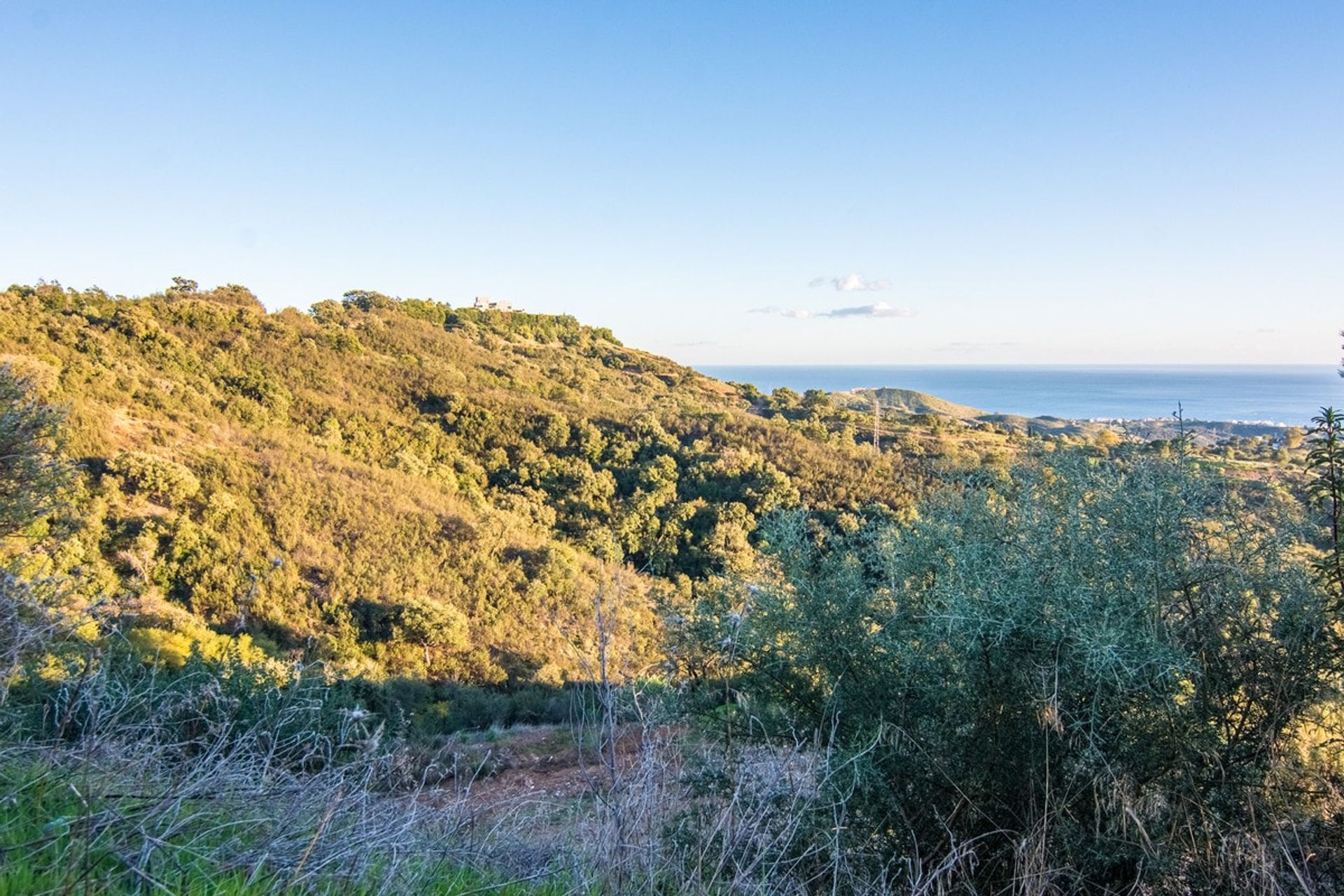 Terre dans Ojén, Andalousie 11291337