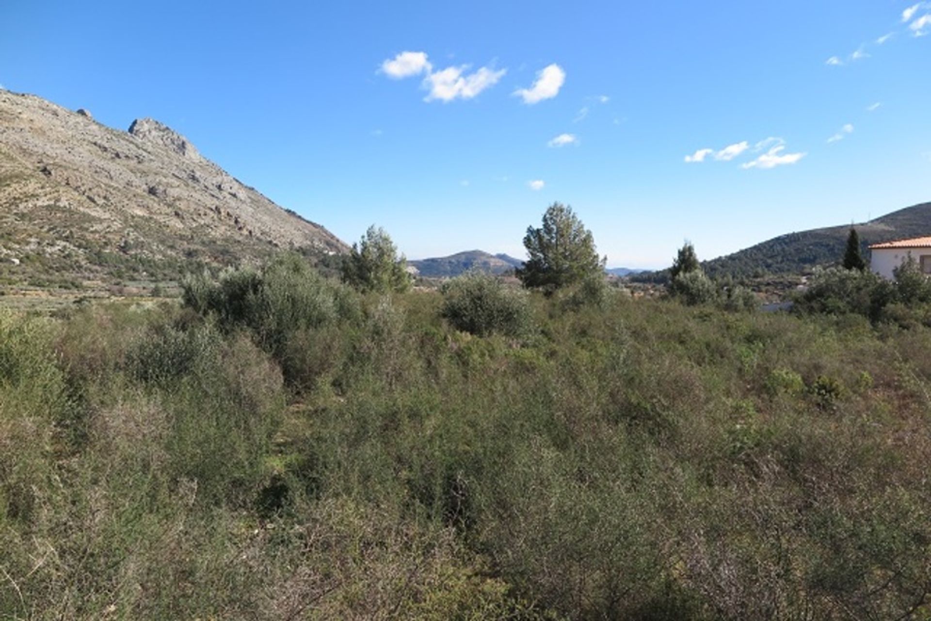 Tanah di Benihembla, Valencia 11291741