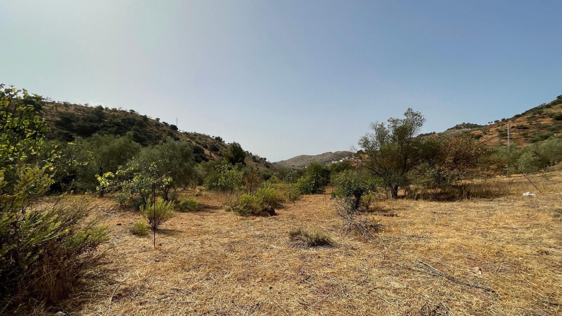 loger dans Almogía, Andalucía 11291852