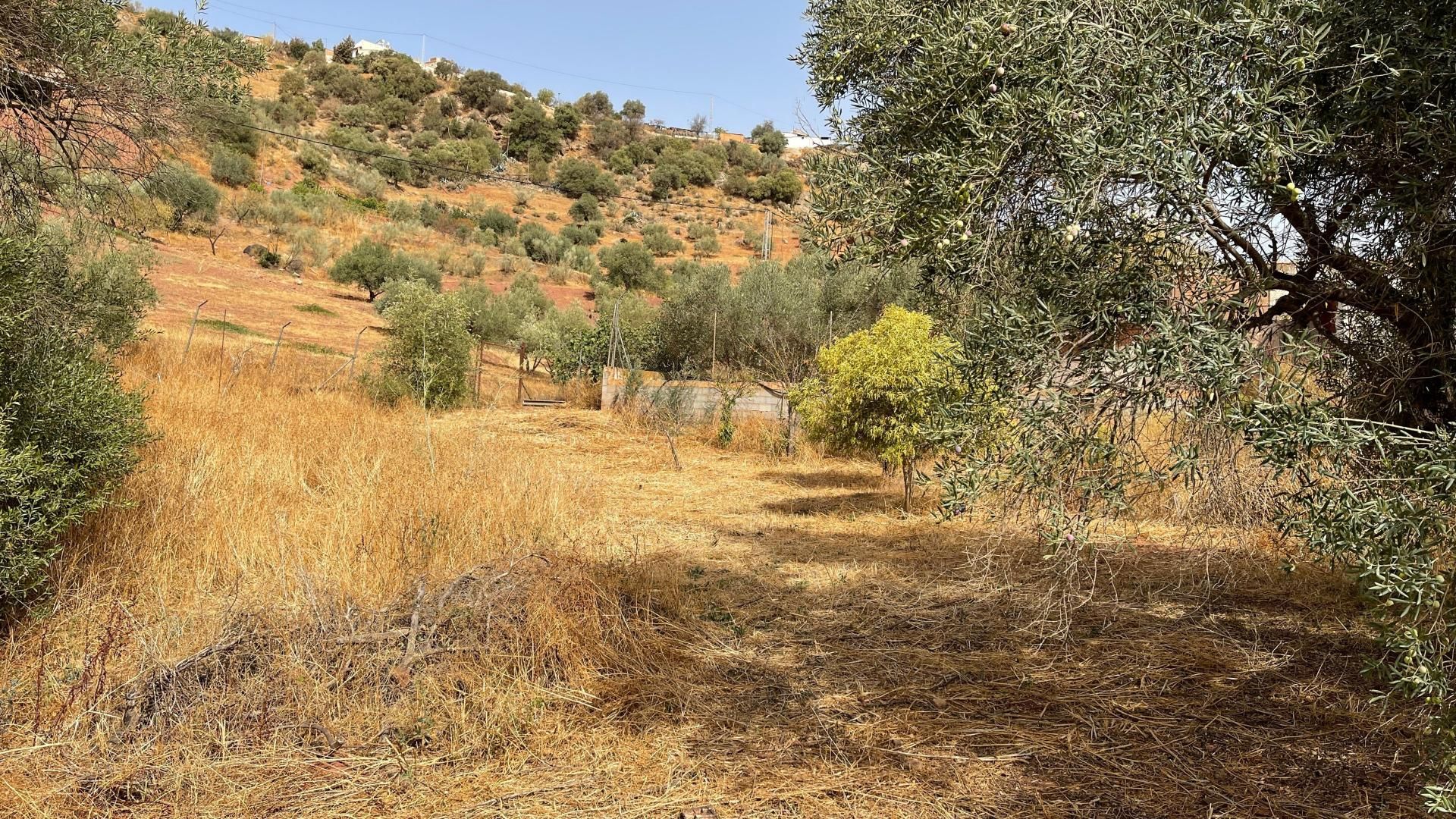 loger dans Almogía, Andalucía 11291852