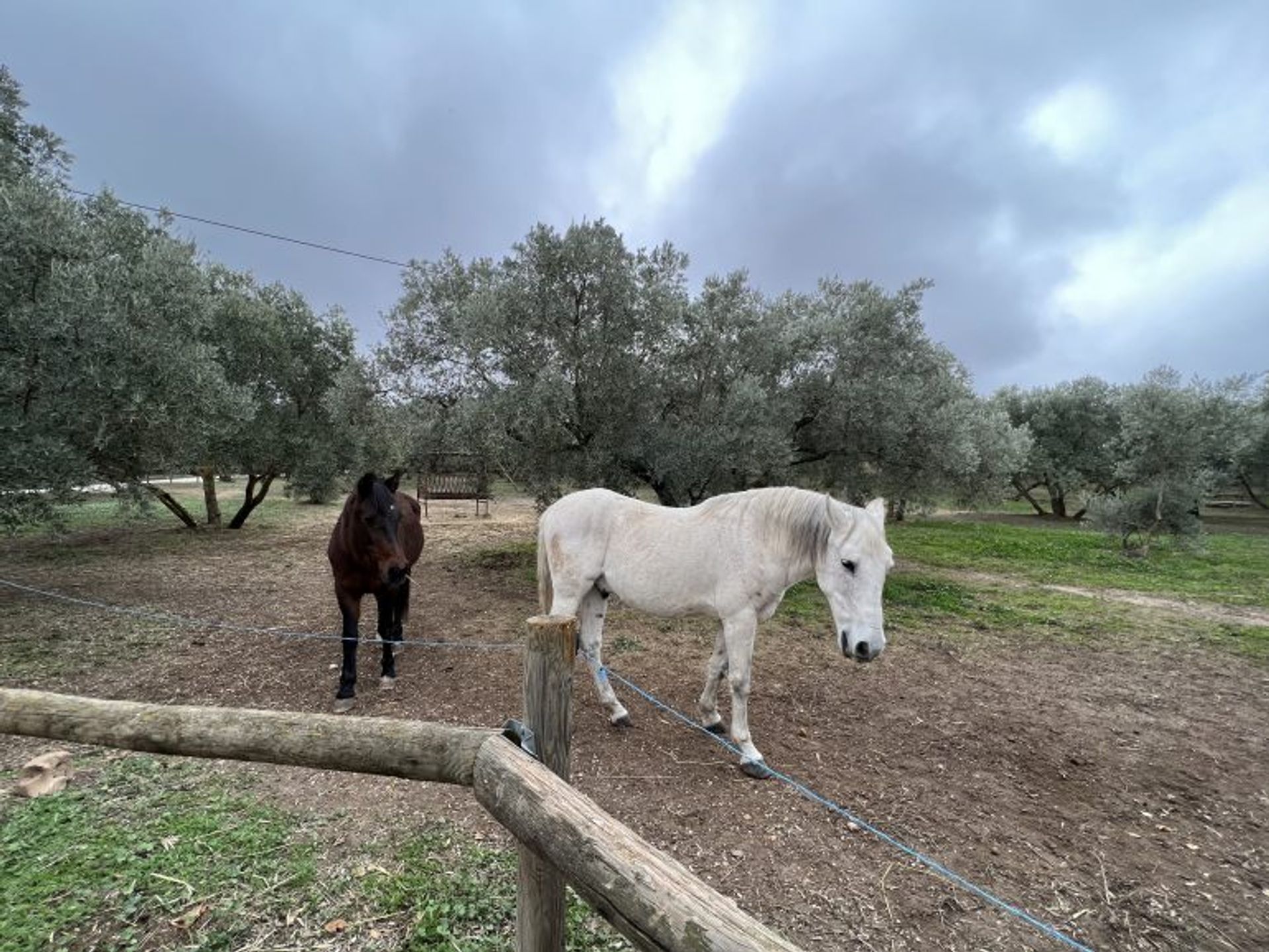 loger dans Ronda, Andalucía 11292199