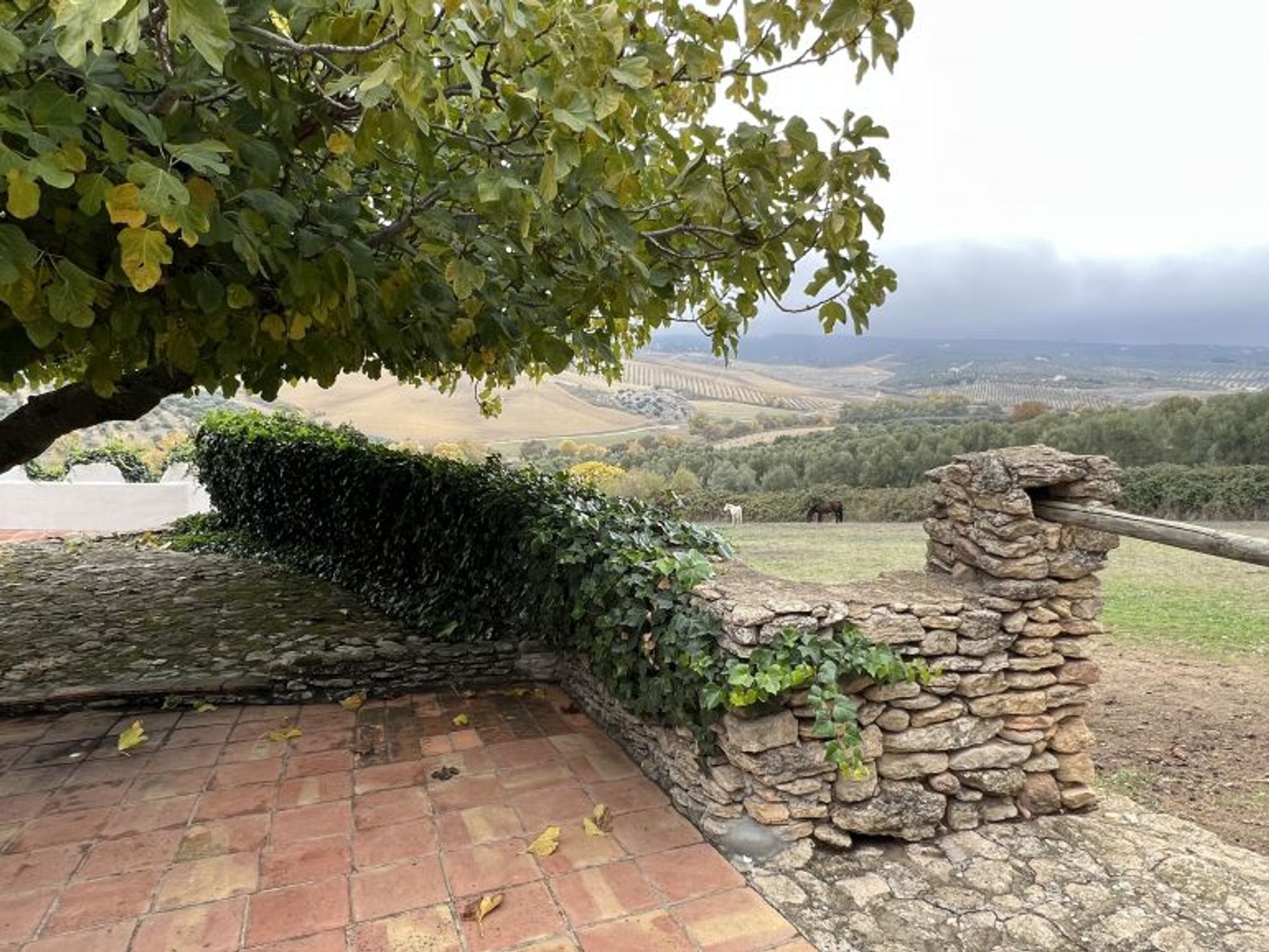 casa en Ronda, Andalucía 11292199