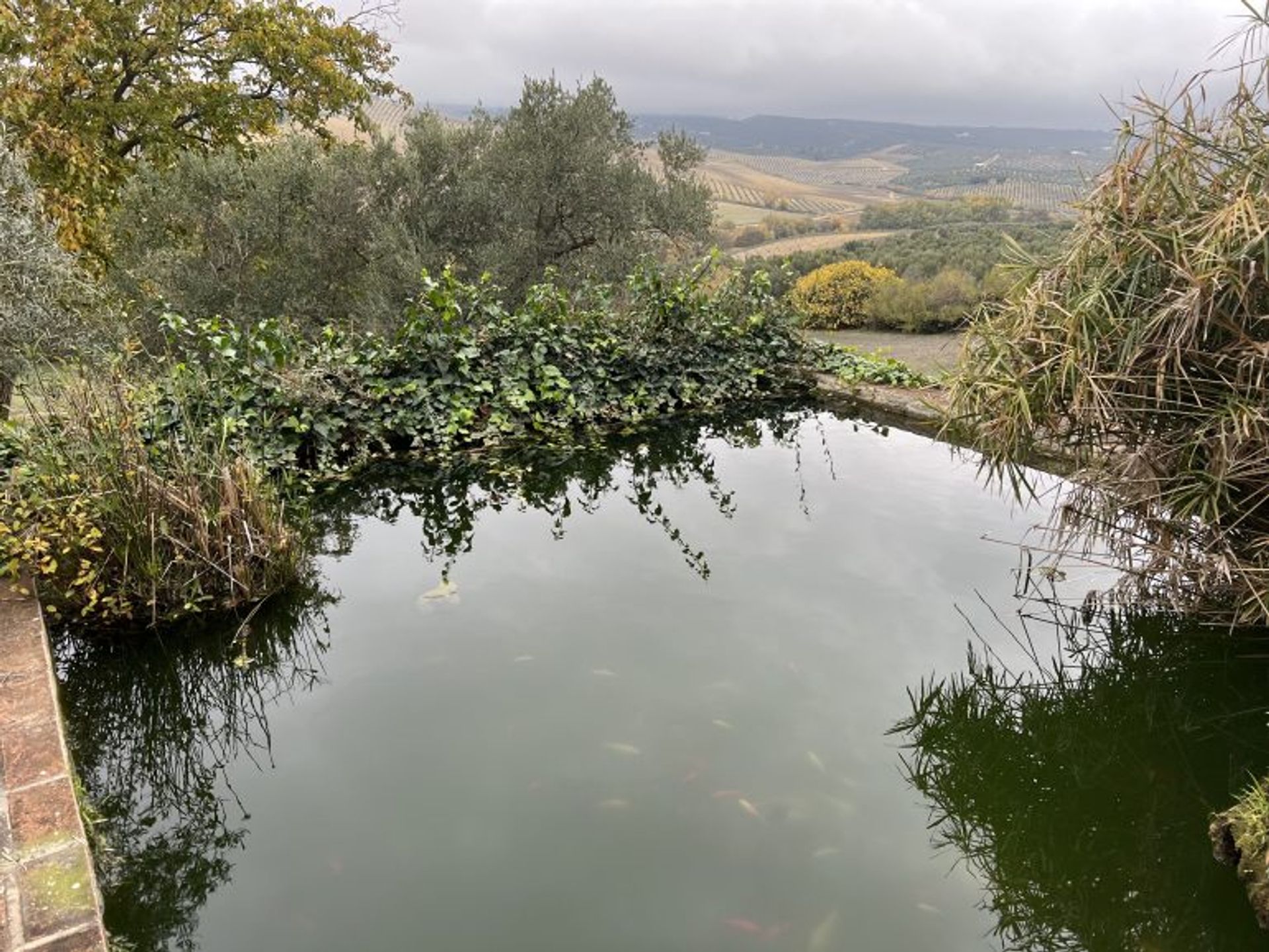 Talo sisään Ronda, Andalucía 11292199