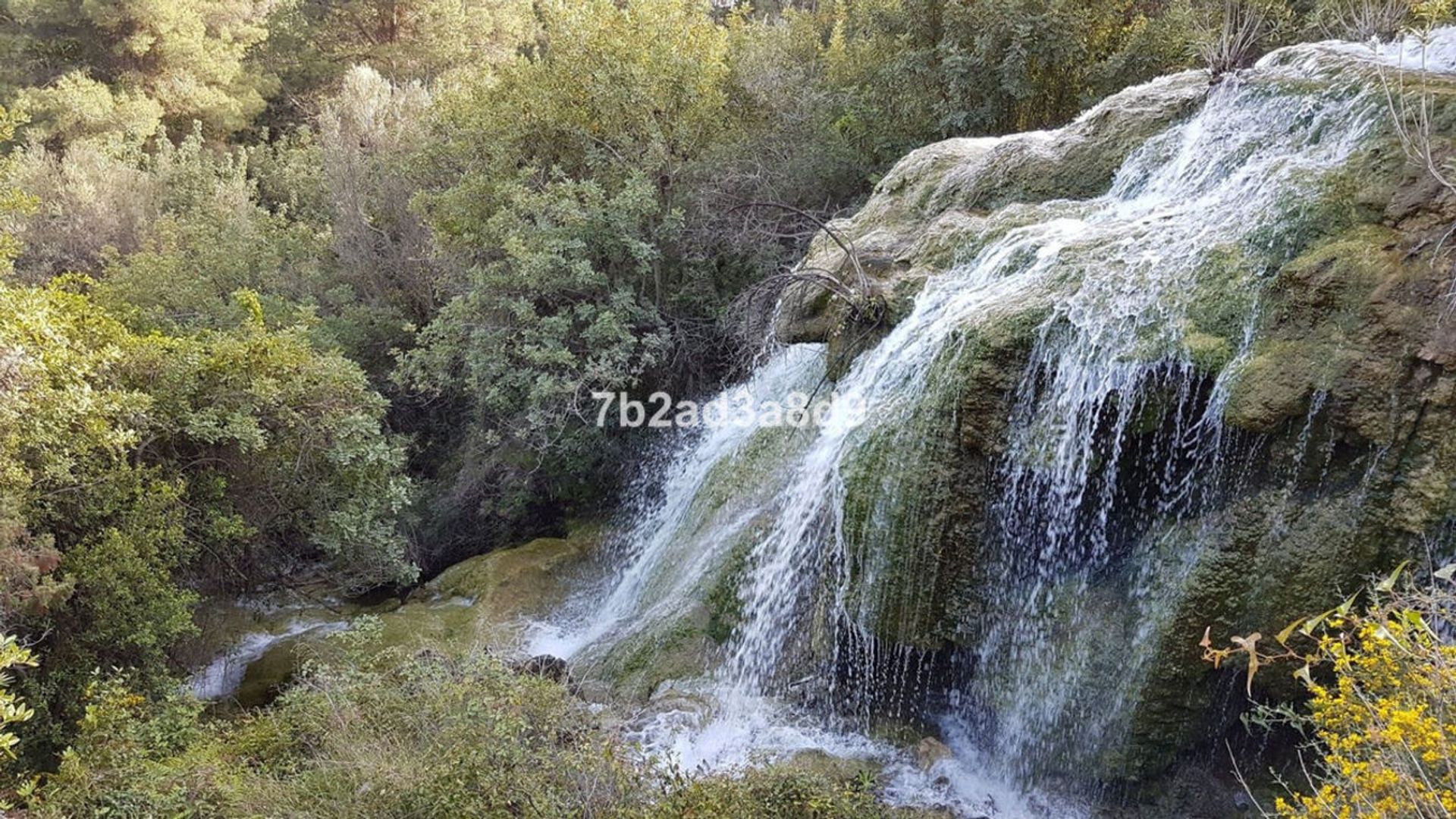 Terre dans L'Ange, Andalousie 11292339