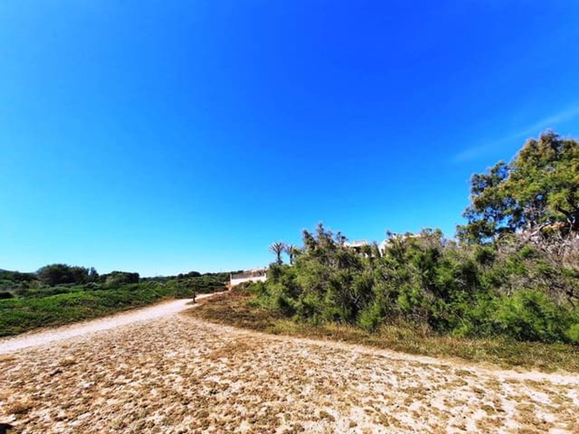 Land im Colonia de Sant Pere, Illes Balears 11292720