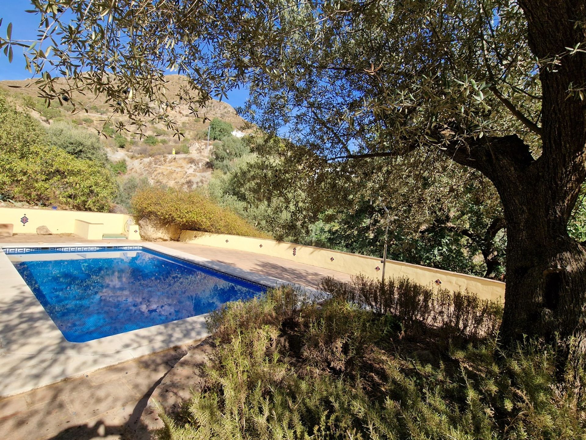 House in Alcaucín, Andalucía 11294320