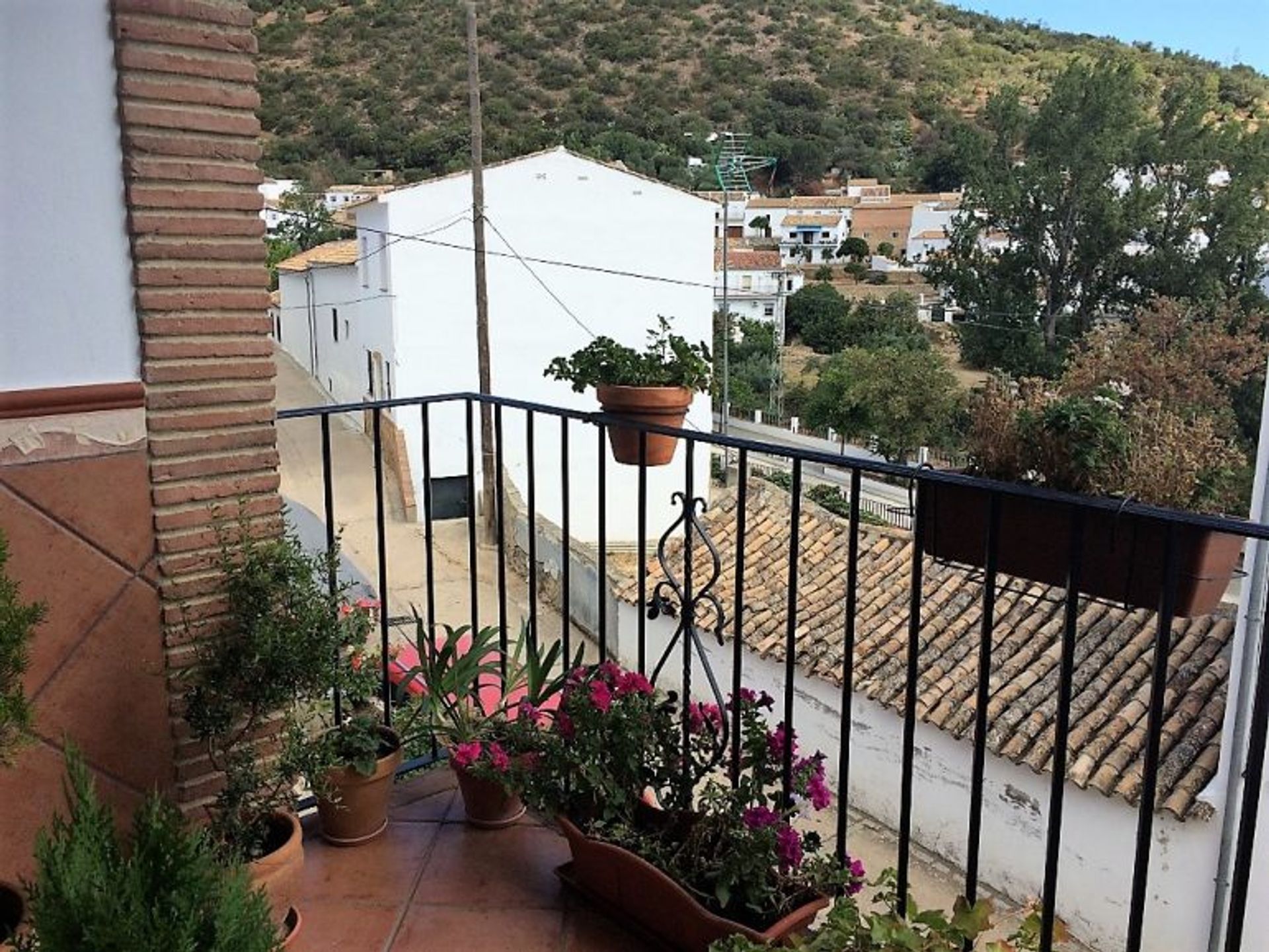 casa en Algodonales, Andalucía 11294356