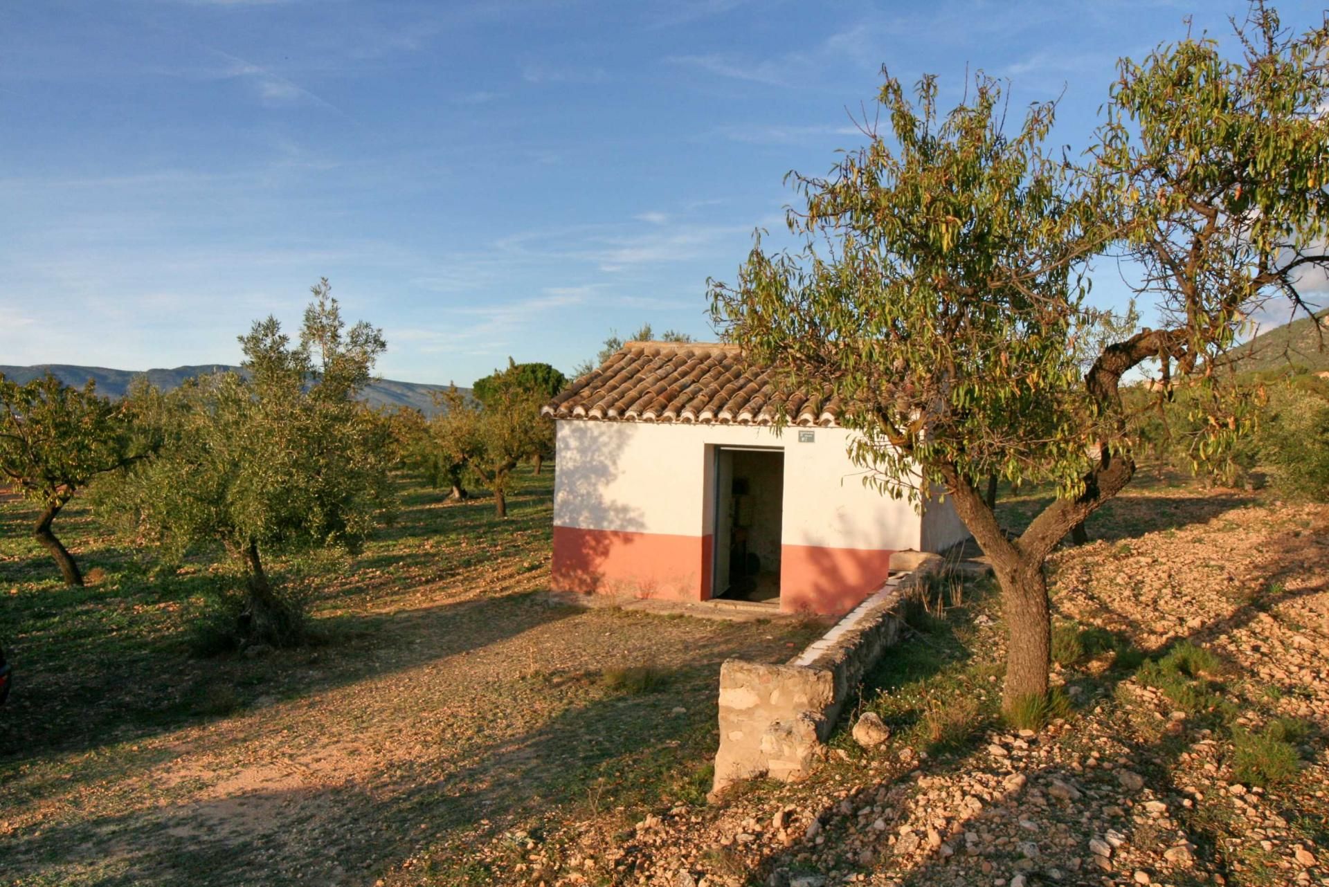 Tierra en Biar, Comunidad Valenciana 11294534