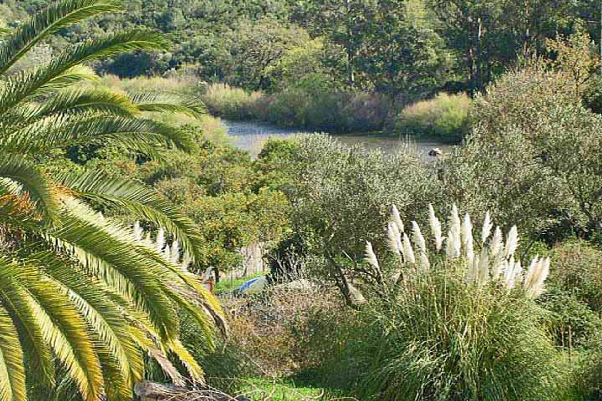 بيت في Gaucín, Andalucía 11294877