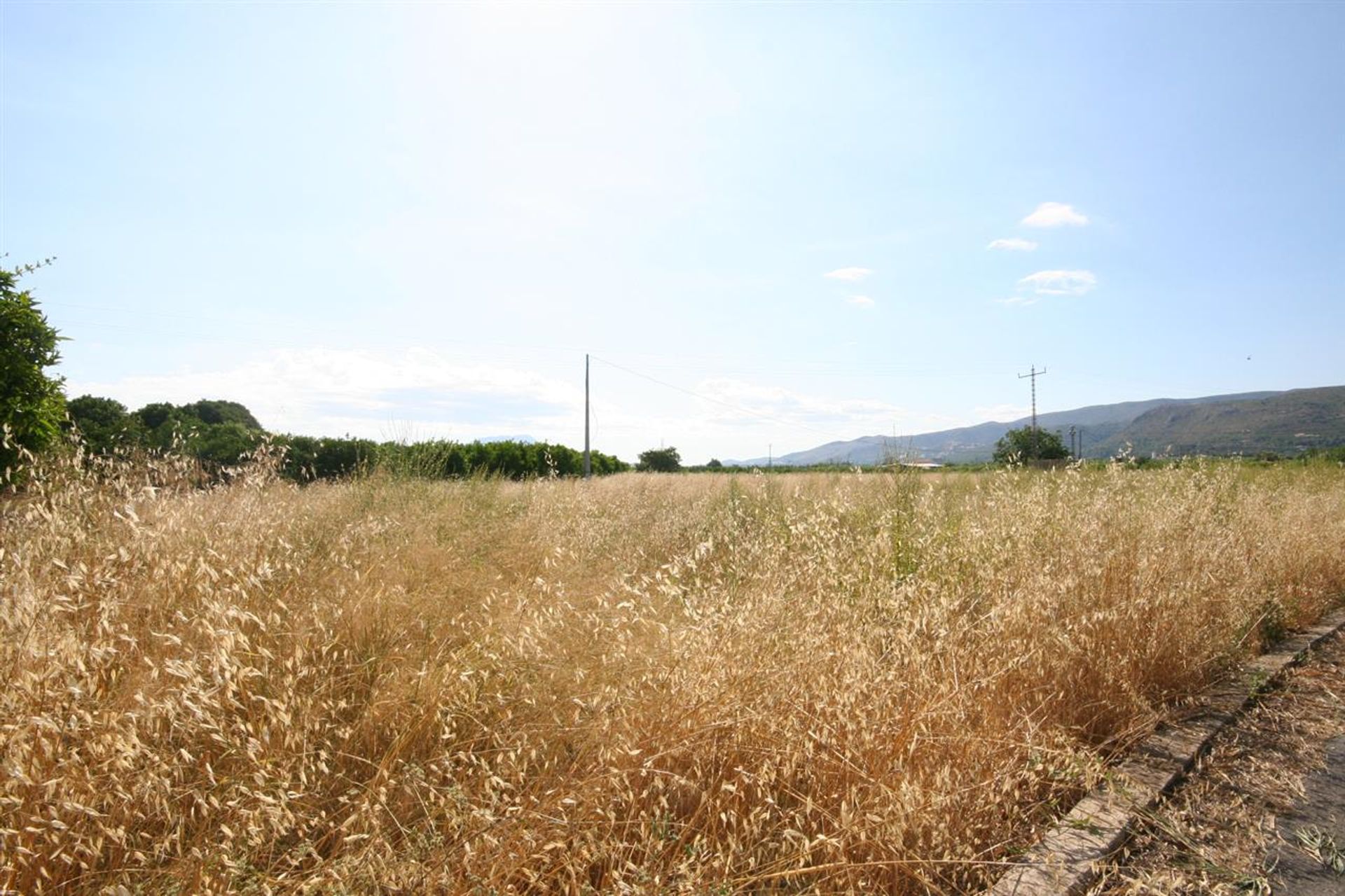 Tierra en Sanet i Els Negrals, Comunidad Valenciana 11295013