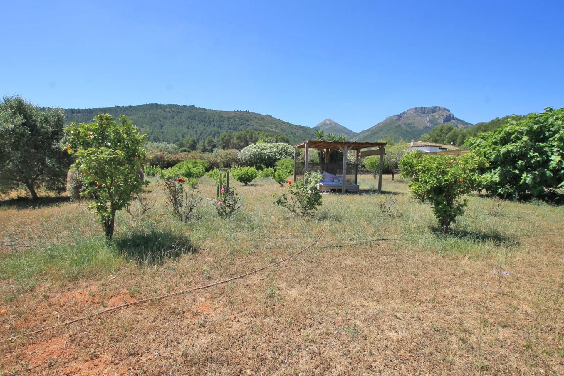 House in Xaló, Comunidad Valenciana 11295571