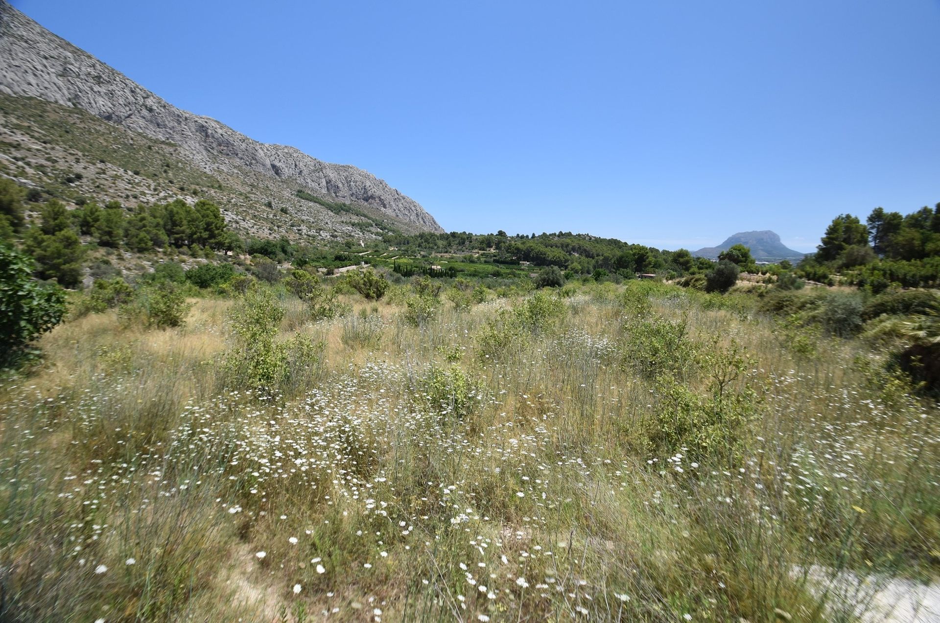 Tanah di Beniarbeig, Comunidad Valenciana 11295592