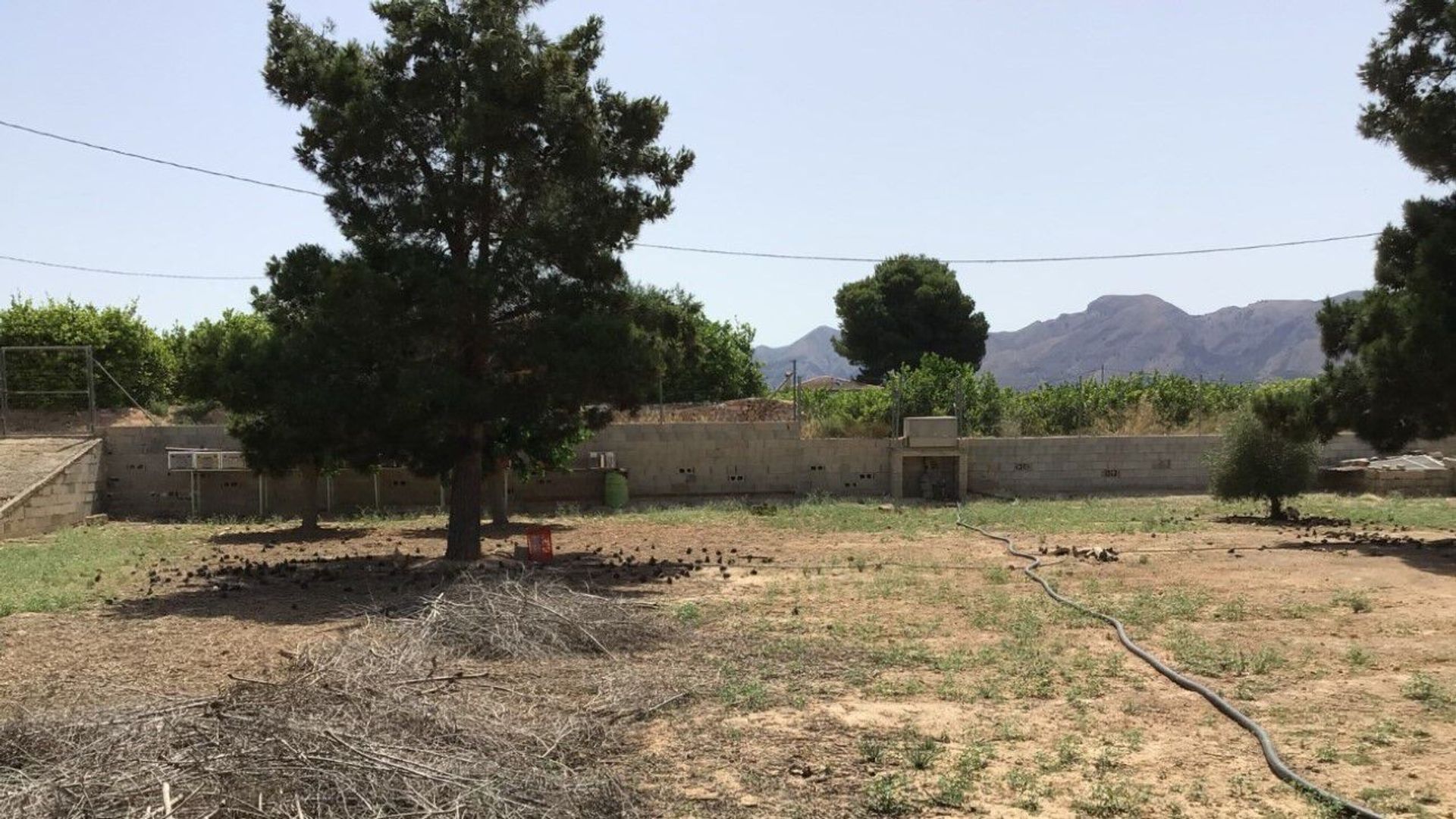 Tierra en Santomera, Región de Murcia 11295910