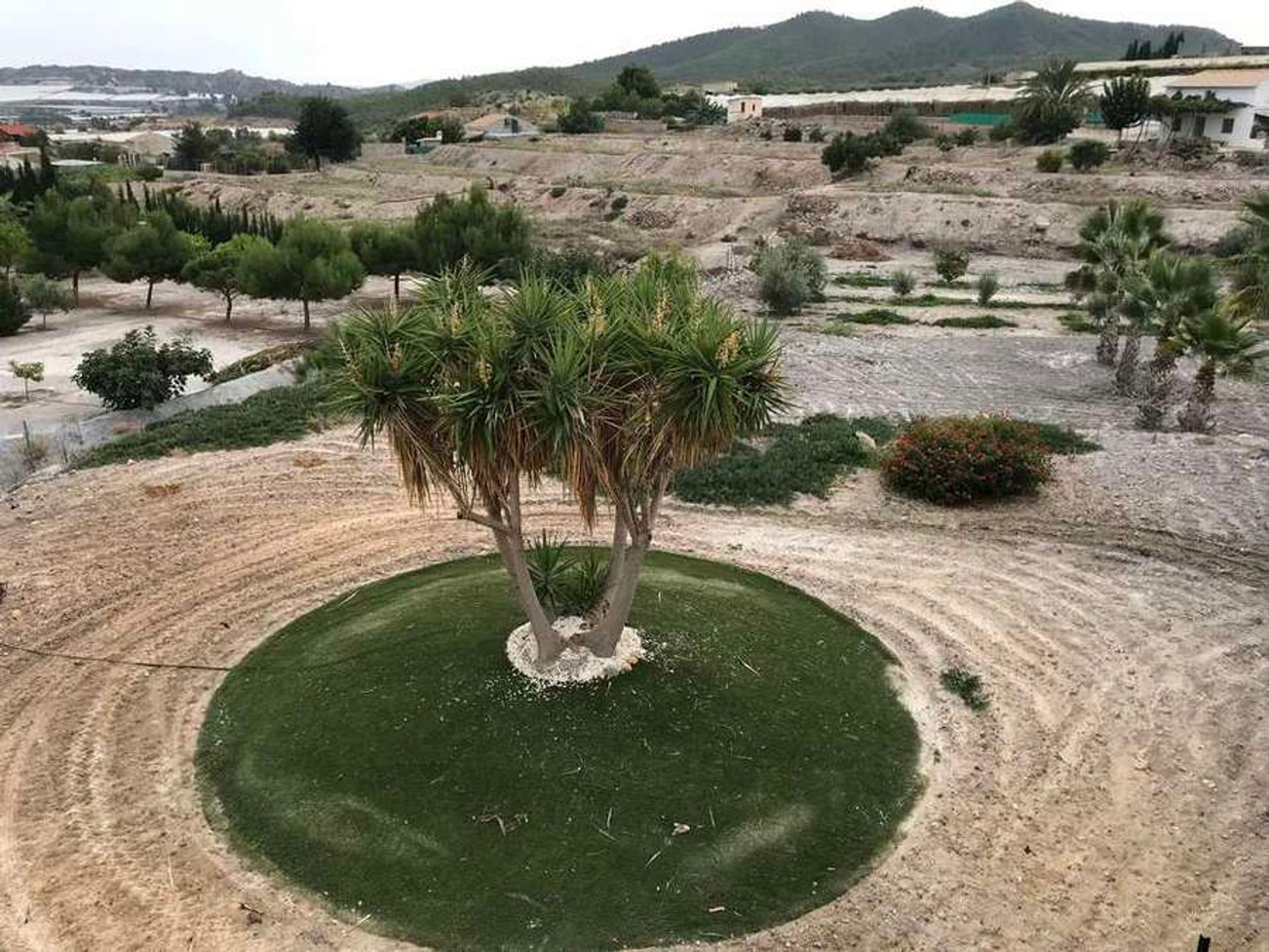 loger dans Totana, Región de Murcia 11296174