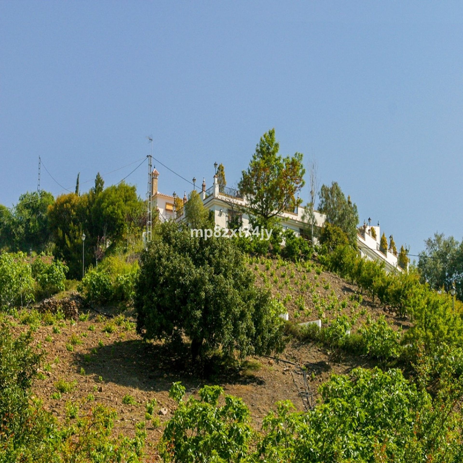 Будинок в Canillas de Aceituno, Andalucía 11297900