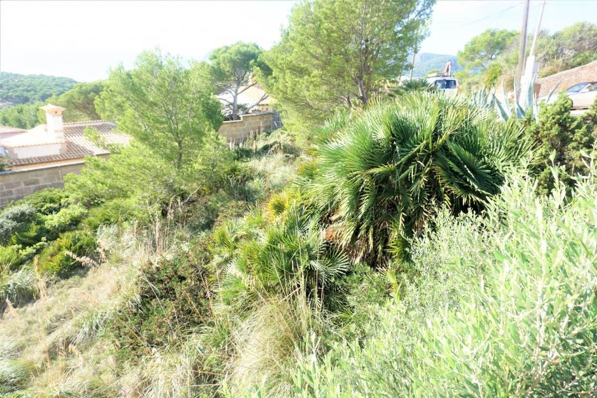 Land in Capdepera, Illes Balears 11298236