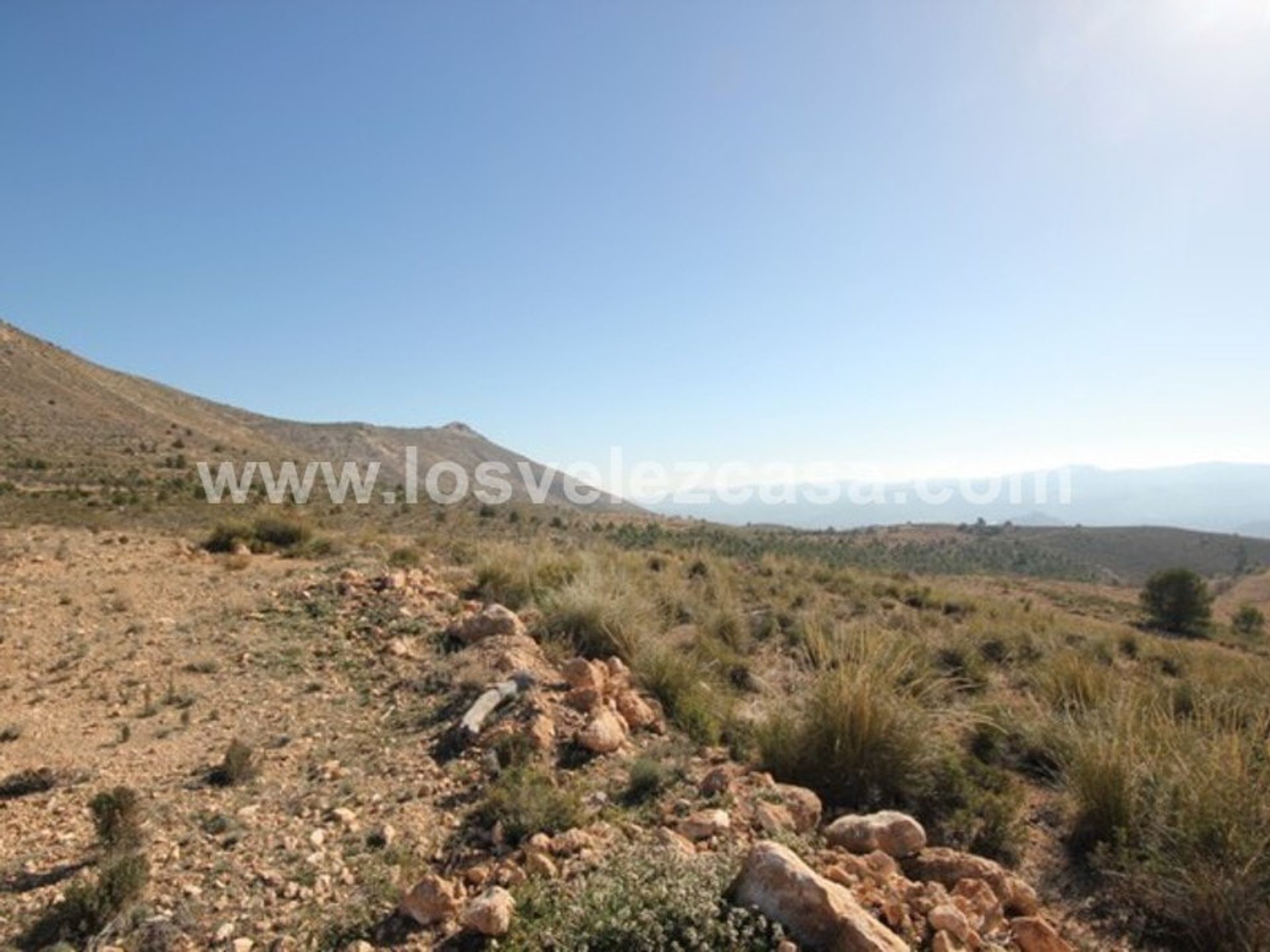 Land in Velez Blanco, Andalusia 11298529