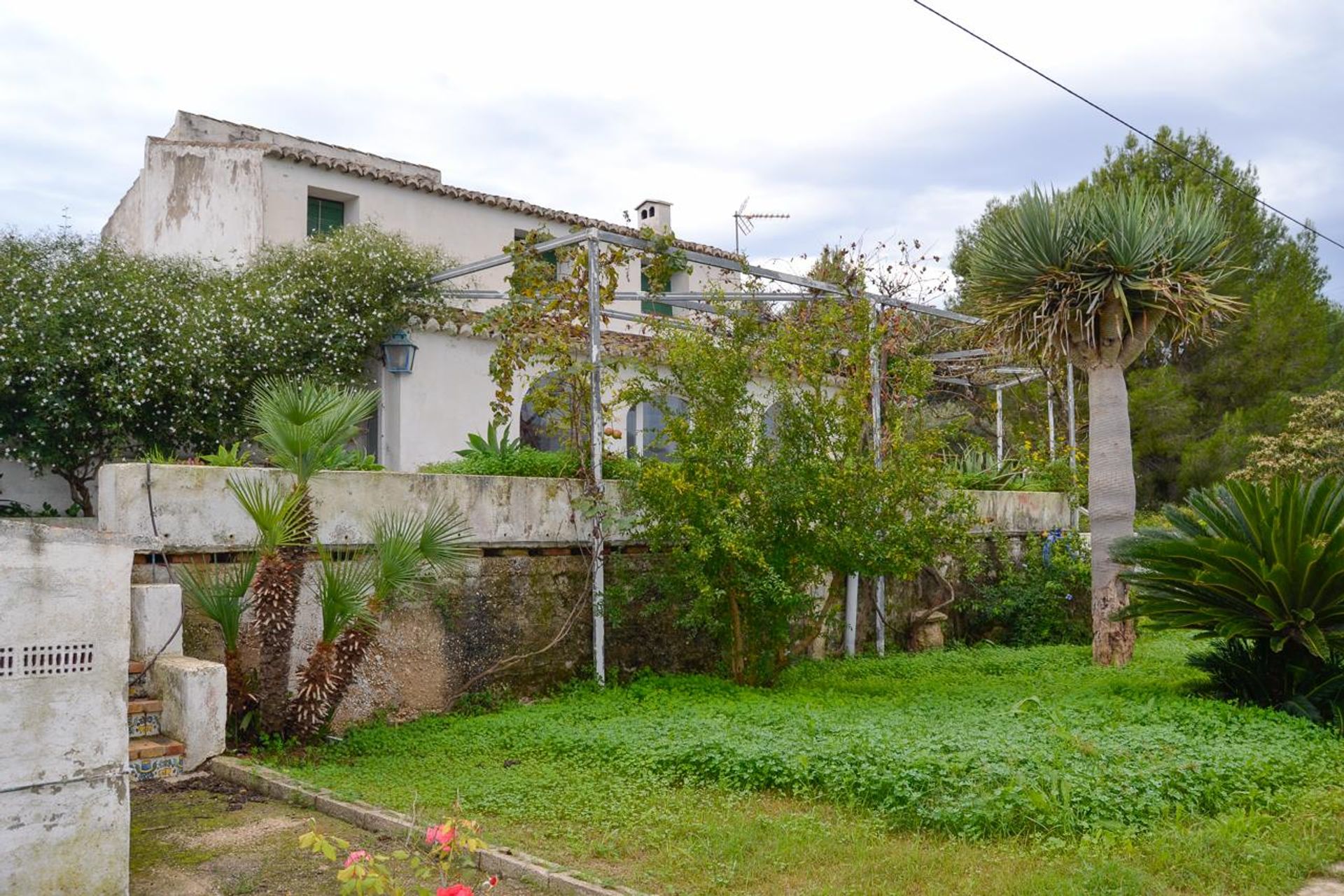 Hus i Jávea, Comunidad Valenciana 11298768