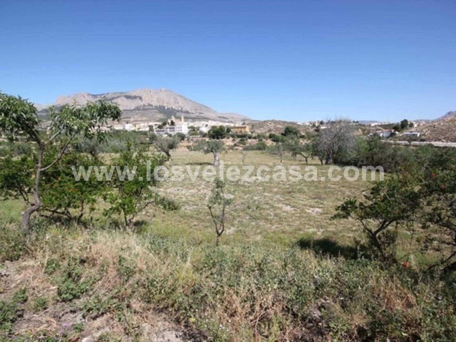 House in Vélez-Rubio, Andalucía 11299704