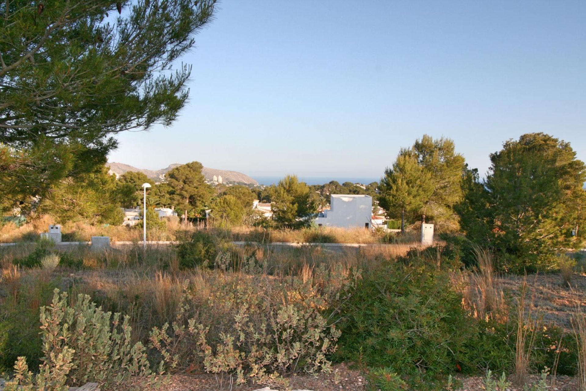 Terre dans Morayra, les îles Canaries 11299789