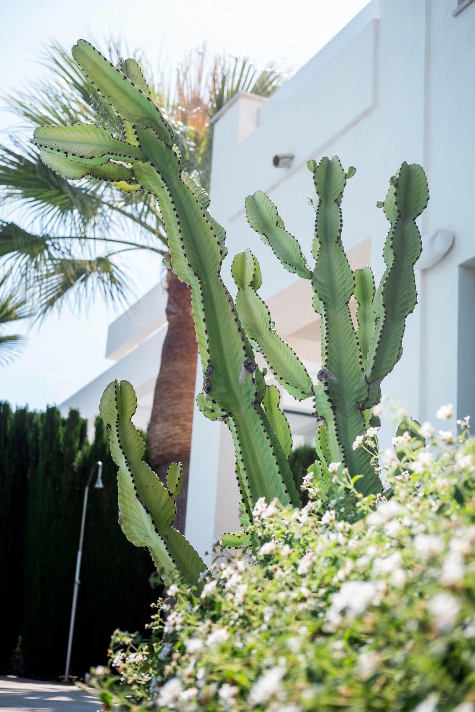 casa en Benahavís, Andalucía 11300186