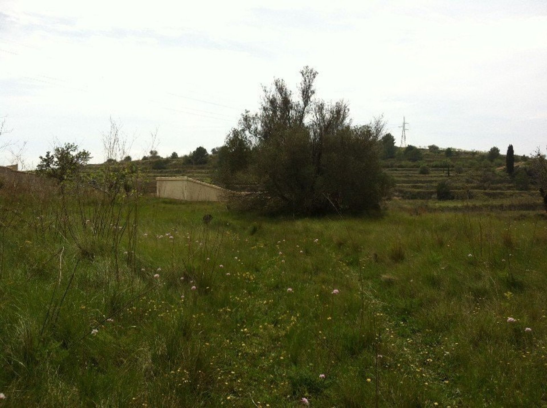 Land in , Comunidad Valenciana 11300853