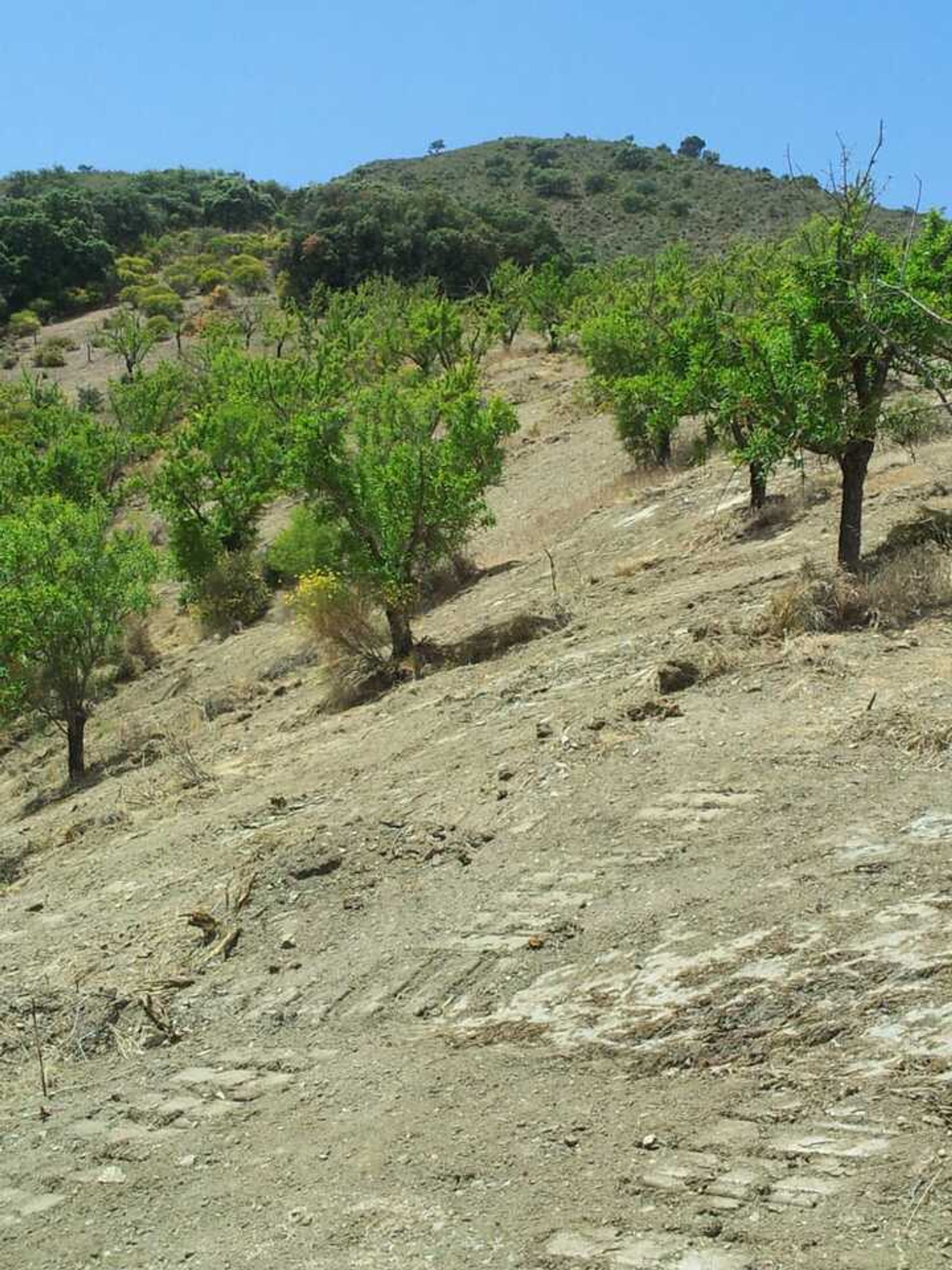 بيت في Alhama de Granada, Andalucía 11301114