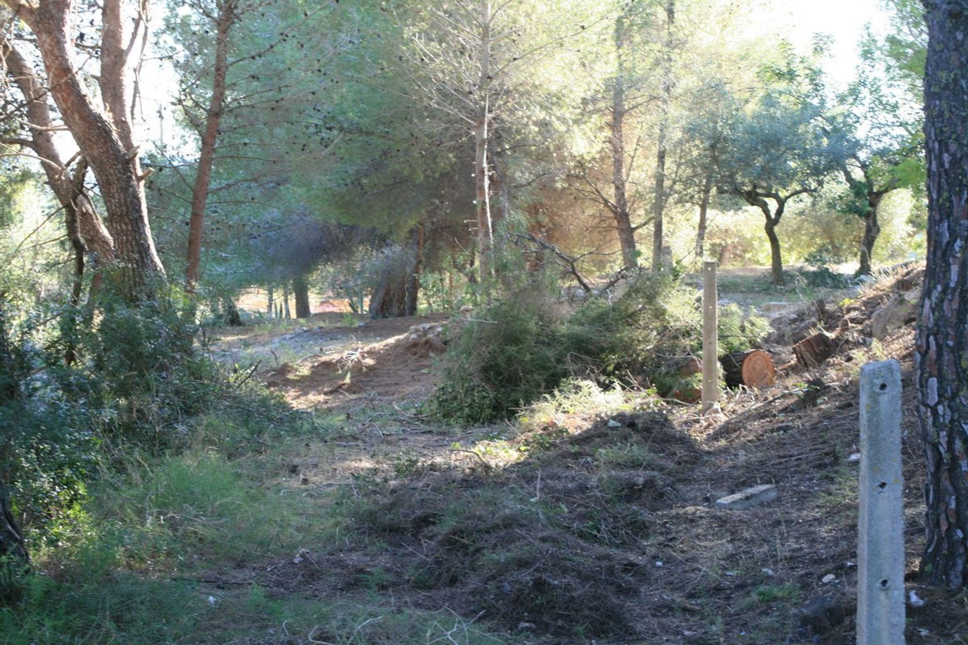 Tierra en El Poble Nou de Benitatxell, Comunidad Valenciana 11301219