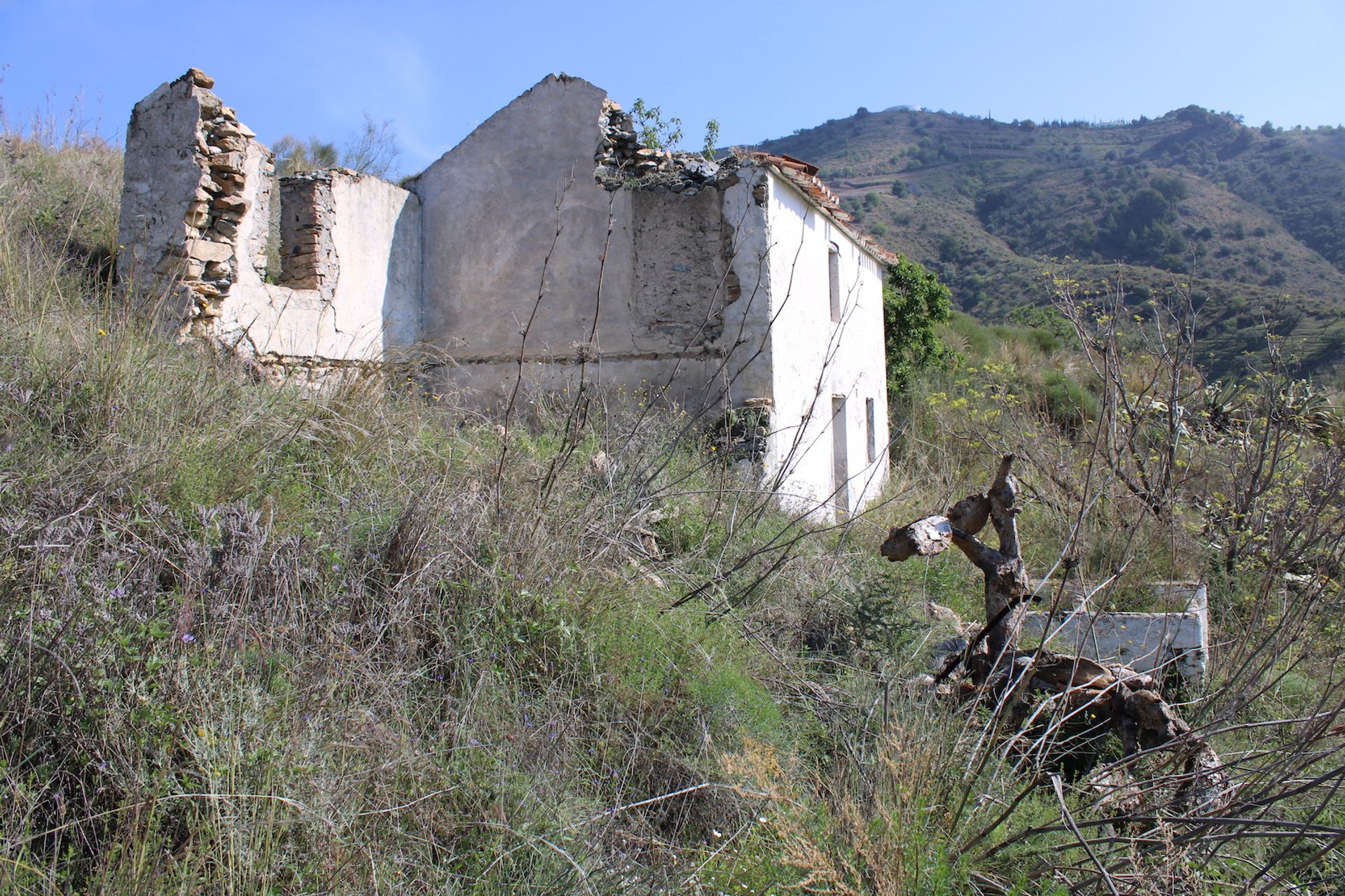 Terre dans Almuñécar, Andalucía 11303418