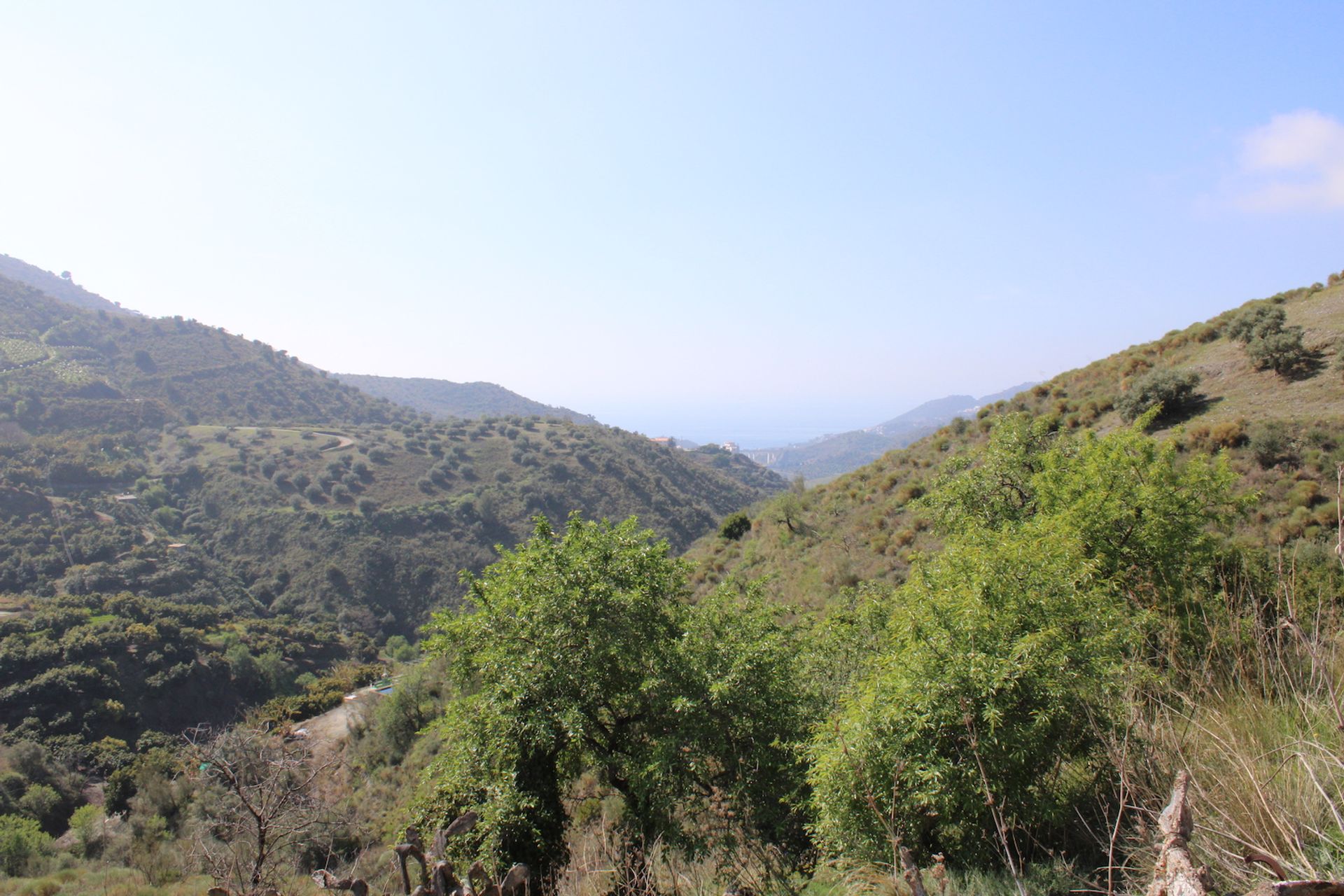 Land in Almuñécar, Andalucía 11303418