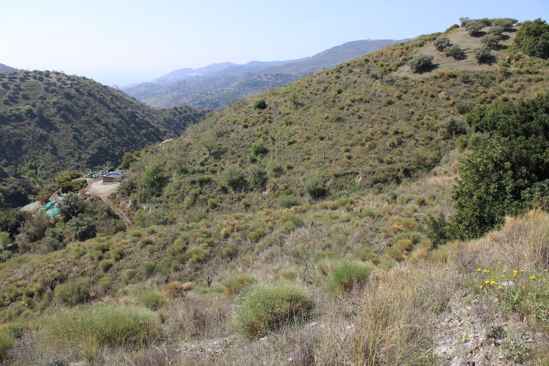 Land in Almuñécar, Andalucía 11303418